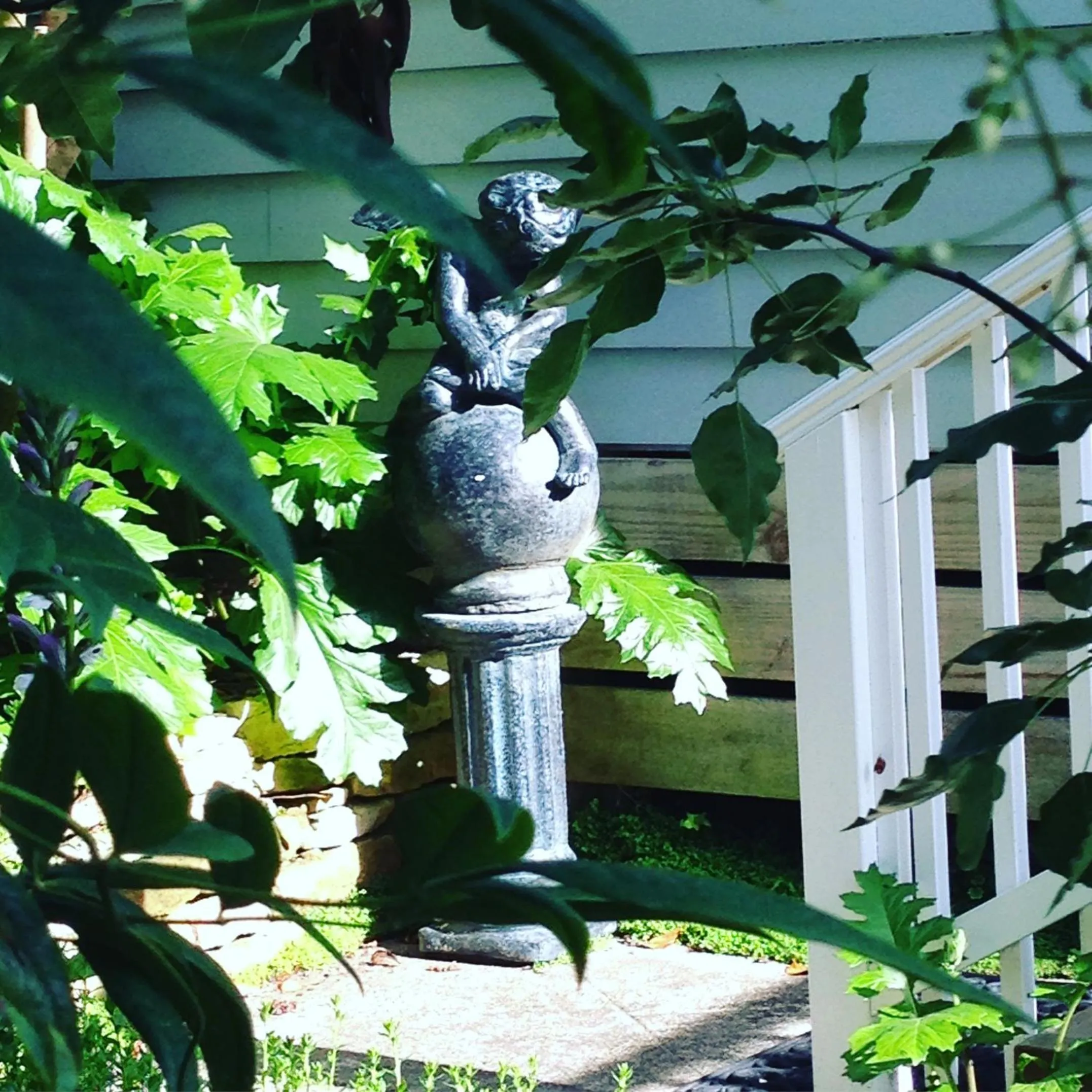 Garden in La Perouse Lorne