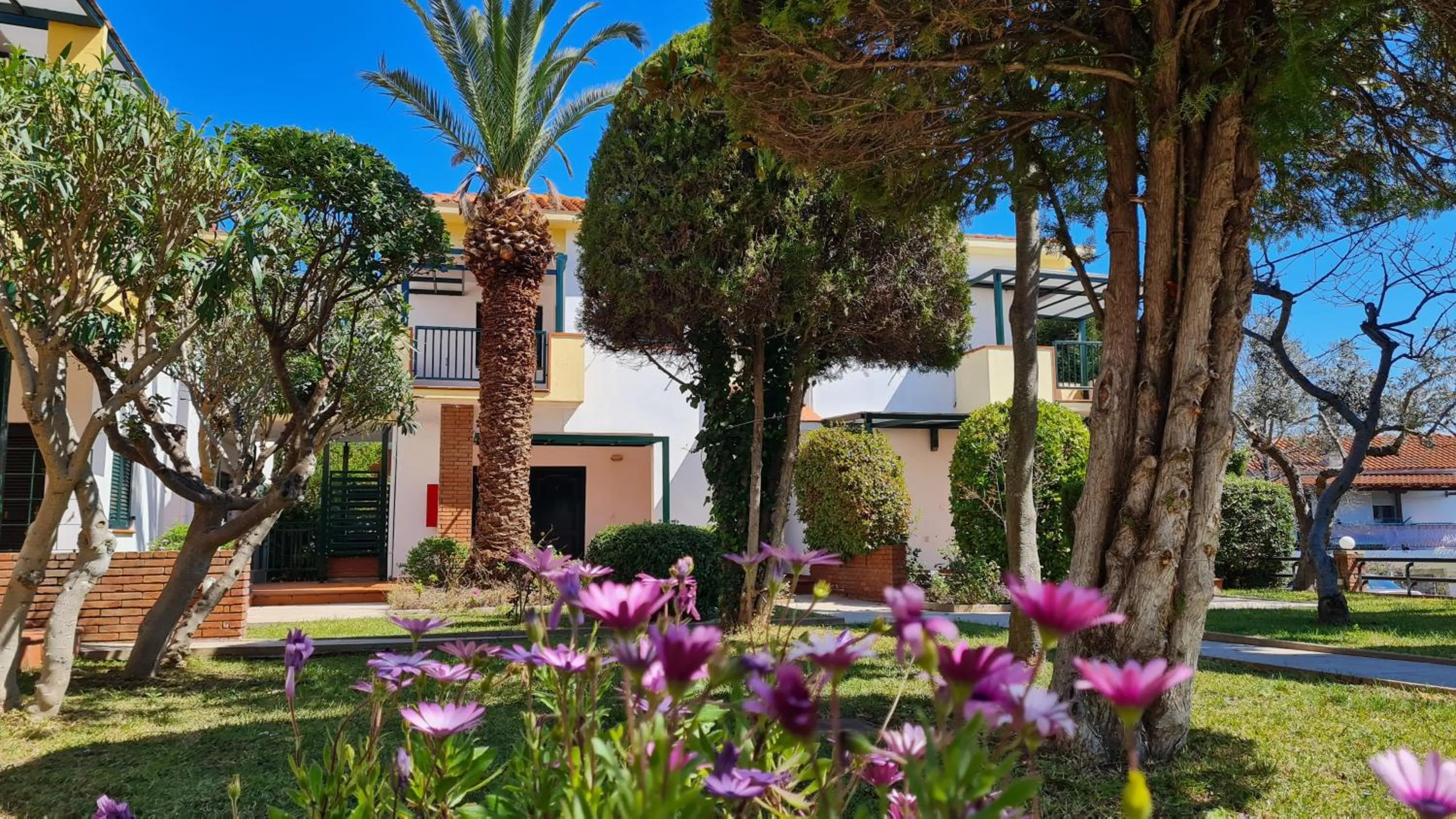 Garden view in Elia Apartments