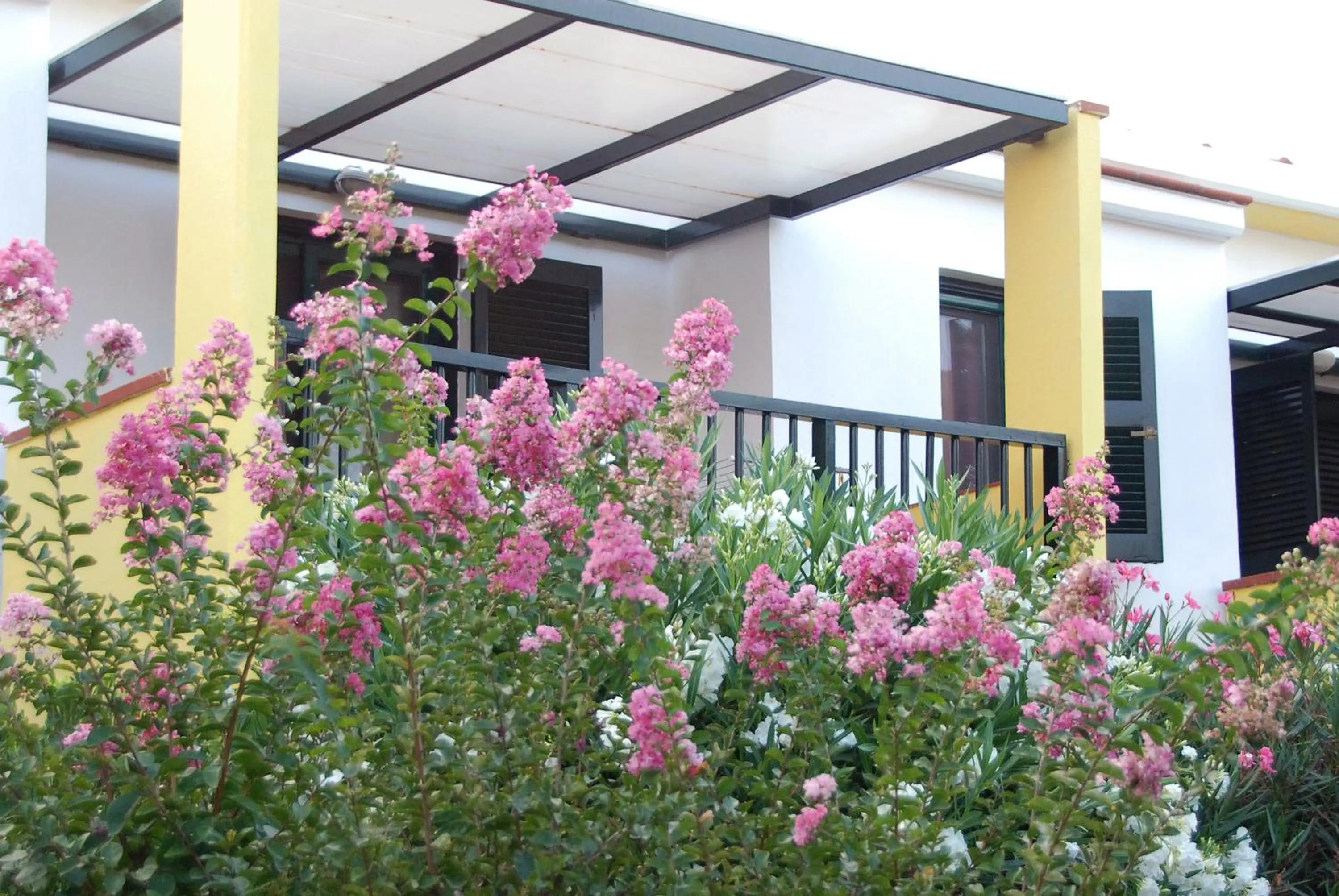 Balcony/Terrace in Elia Apartments