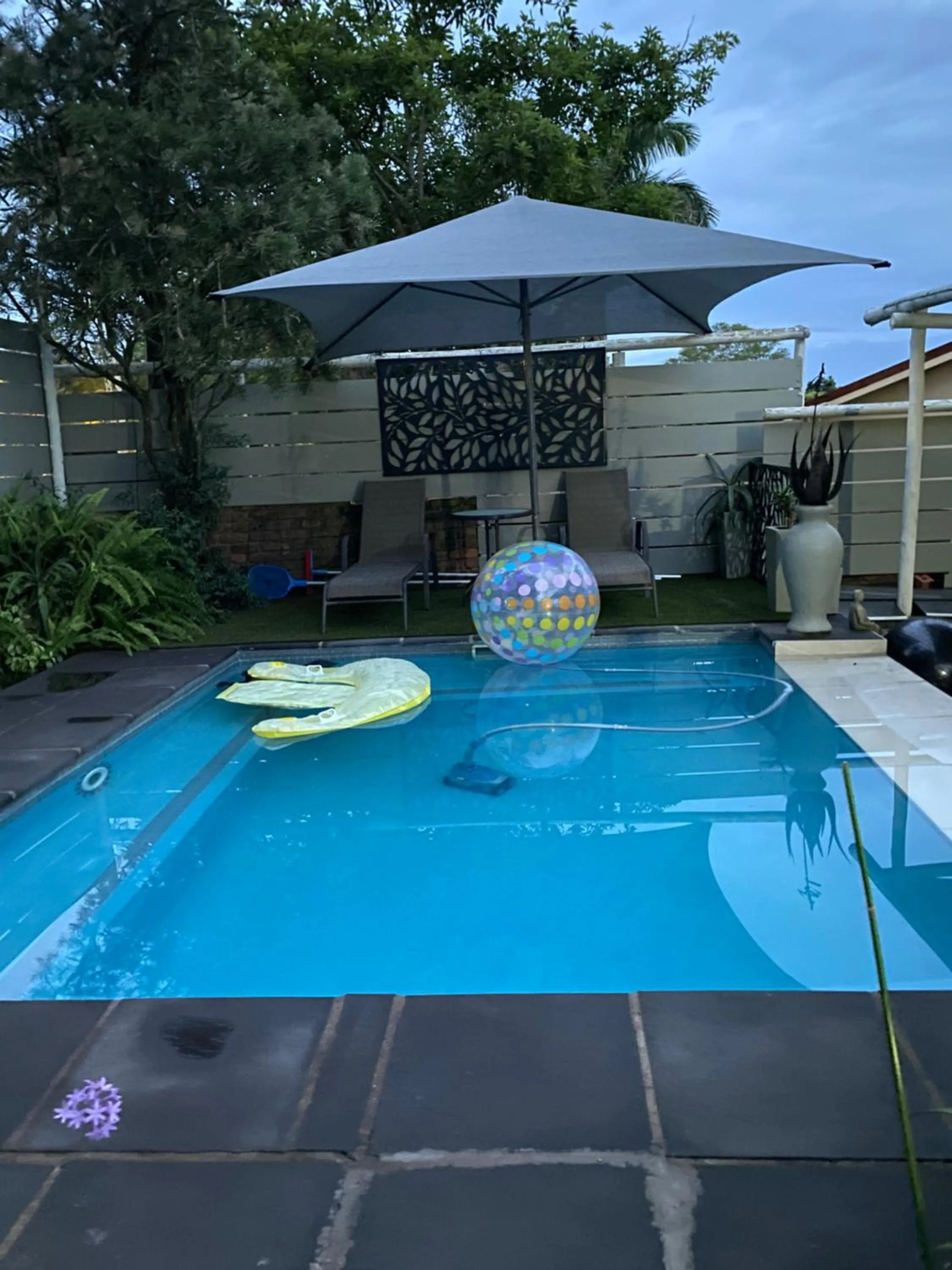 Swimming pool in White River B & B