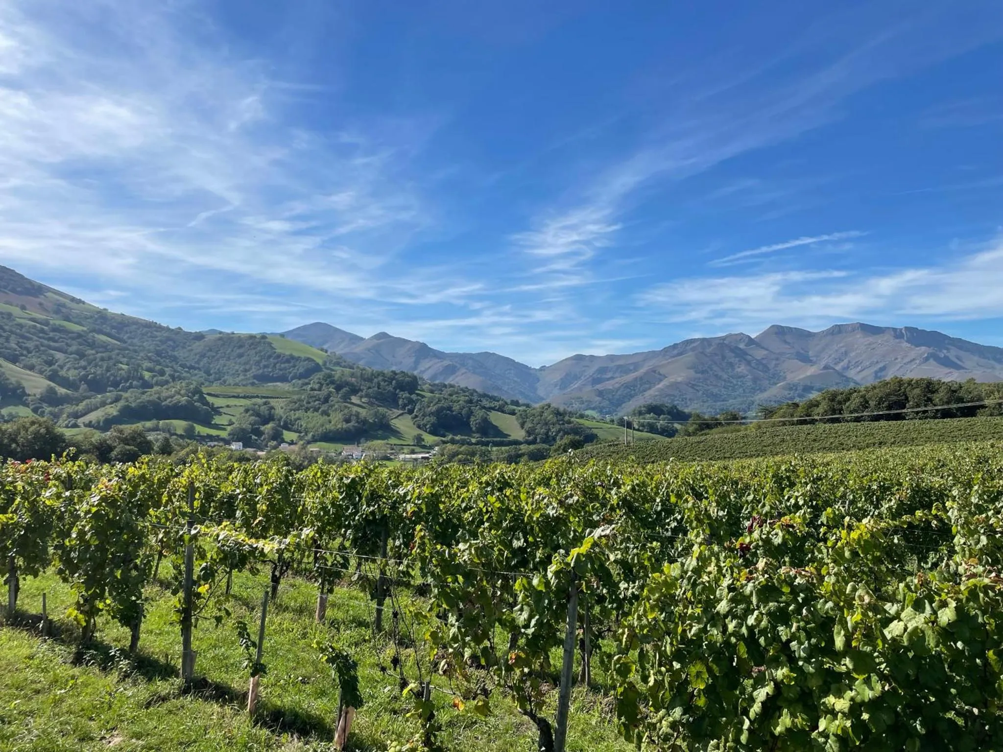 Nearby landmark in Manexenea