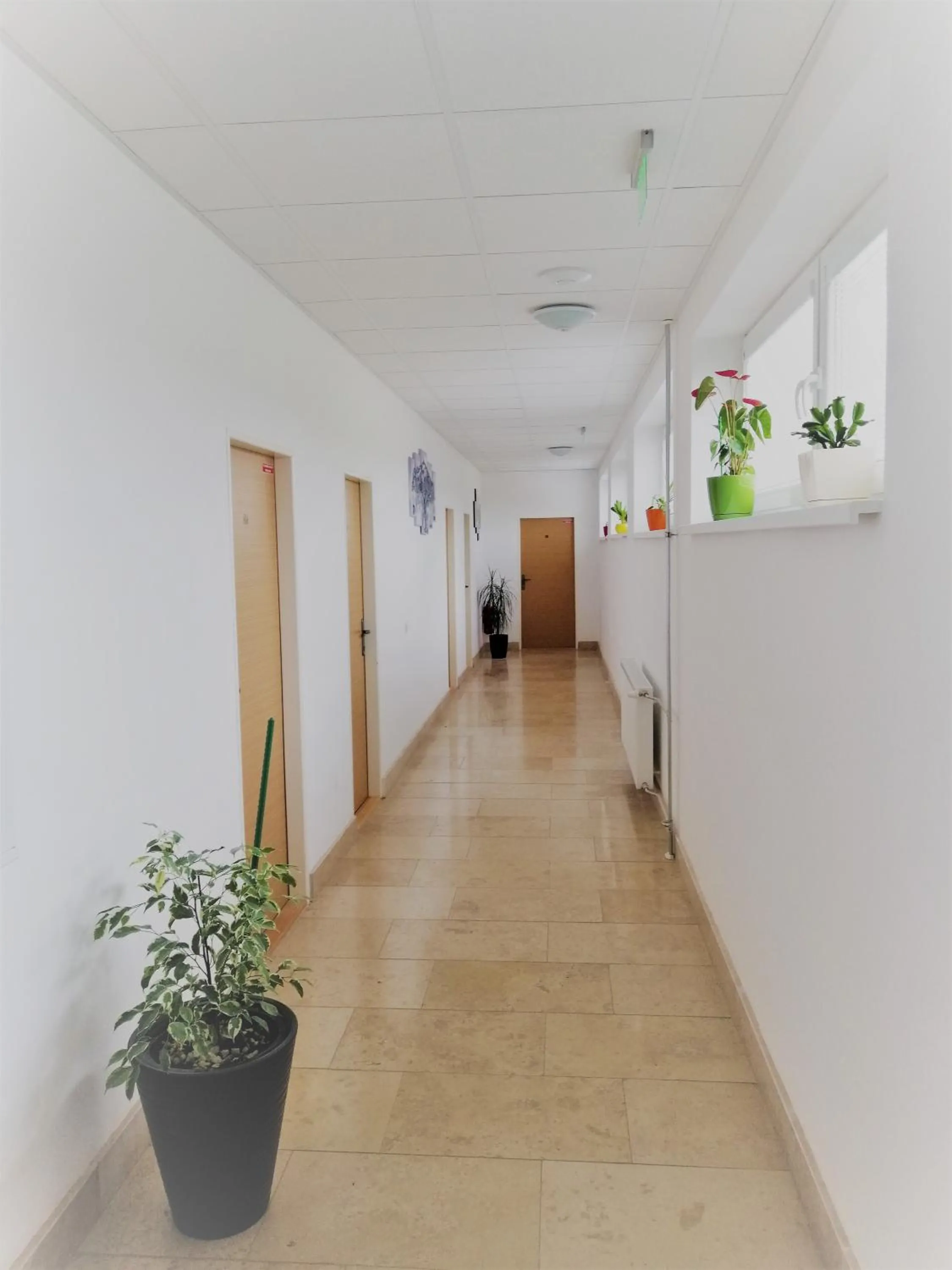 Property building in Penzion Adriana