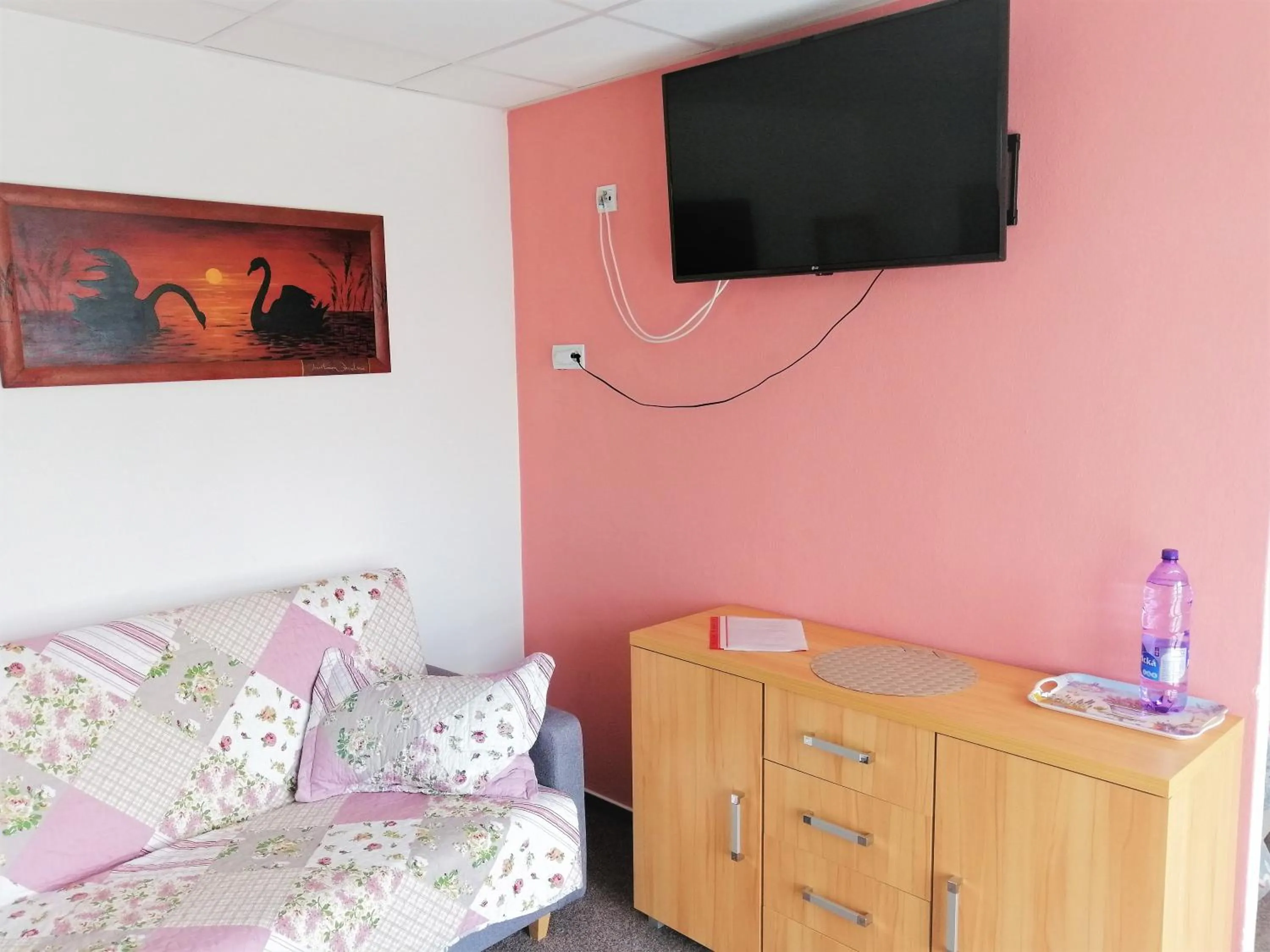 TV and multimedia in Penzion Adriana