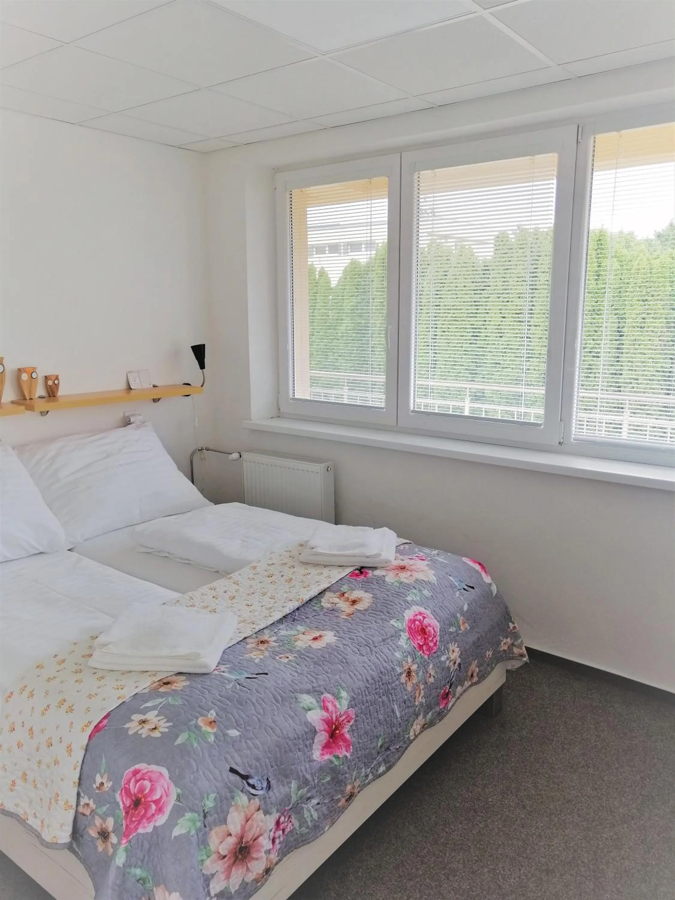 Photo of the whole room, Bed in Penzion Adriana