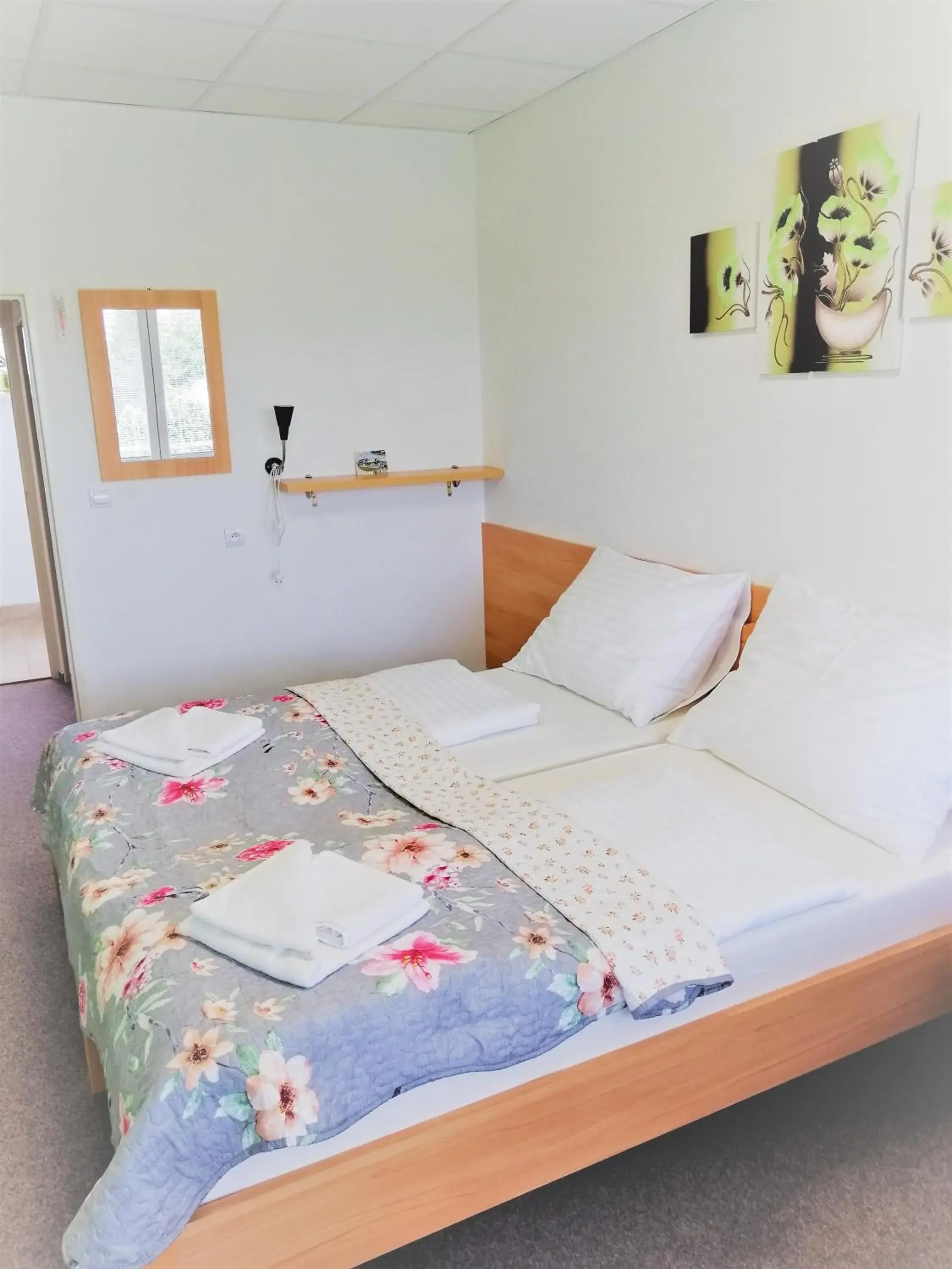 Double Room with Balcony - single occupancy in Penzion Adriana Double Room with Balcony - single occupancy in Penzion Adriana