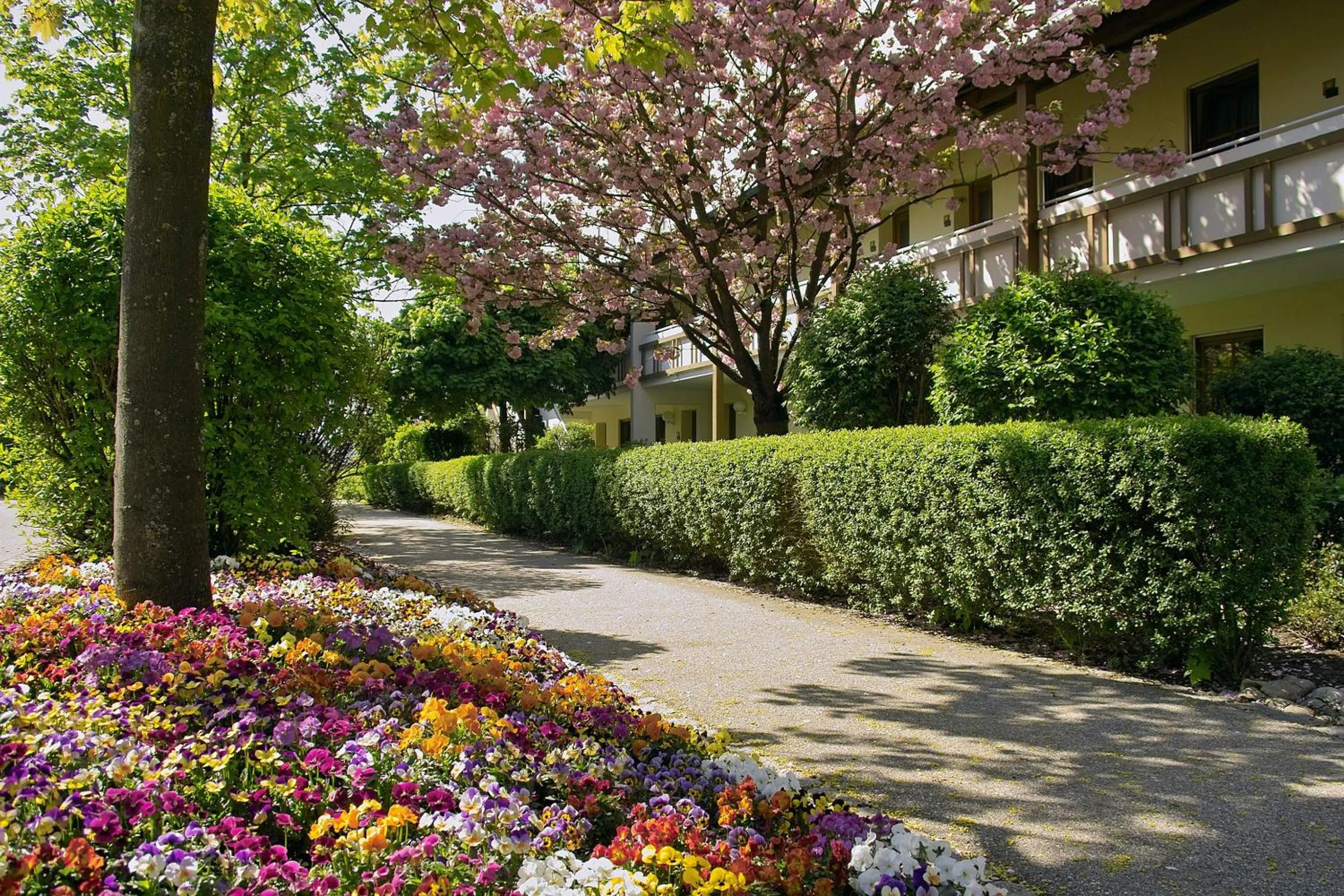 Facade/entrance in Apart Hotel am Sonnenhügel