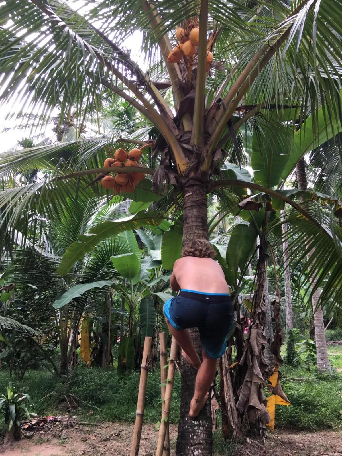 Balcony/Terrace in Airport Pearl Garden Transit Hotel