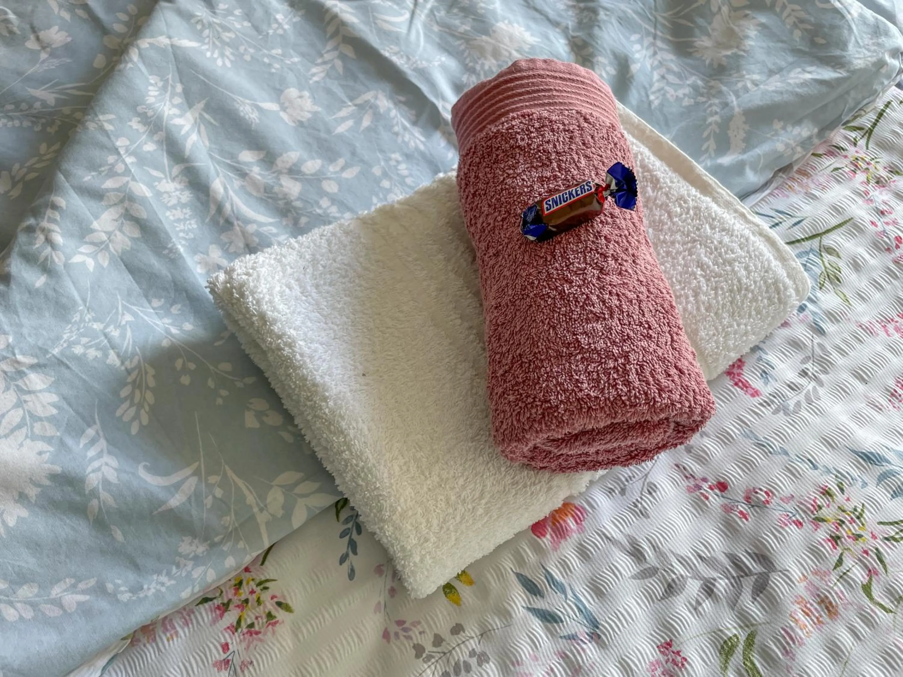 Bed in Máté Pension