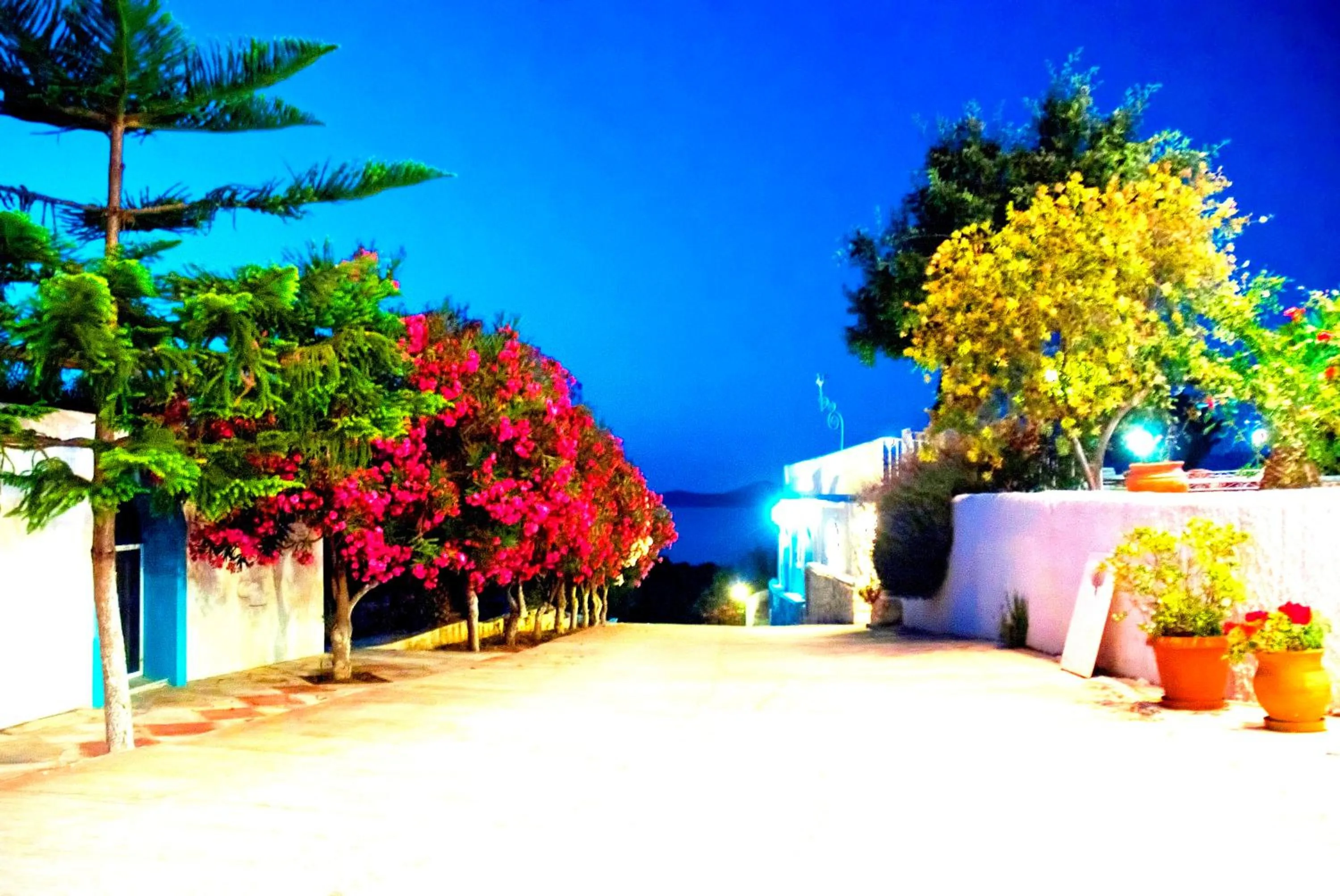 Garden in Villa Agnanti Boutique