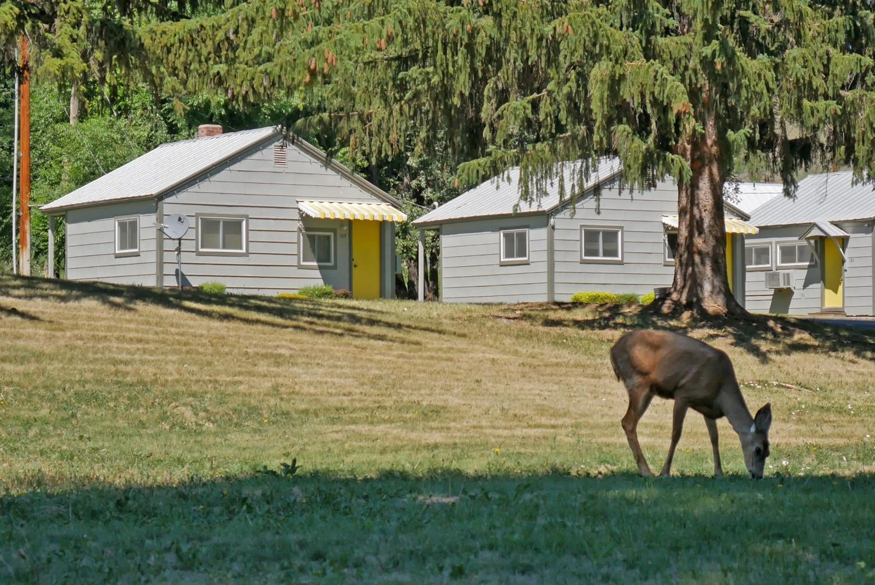 Property building in Idle A While Cabins