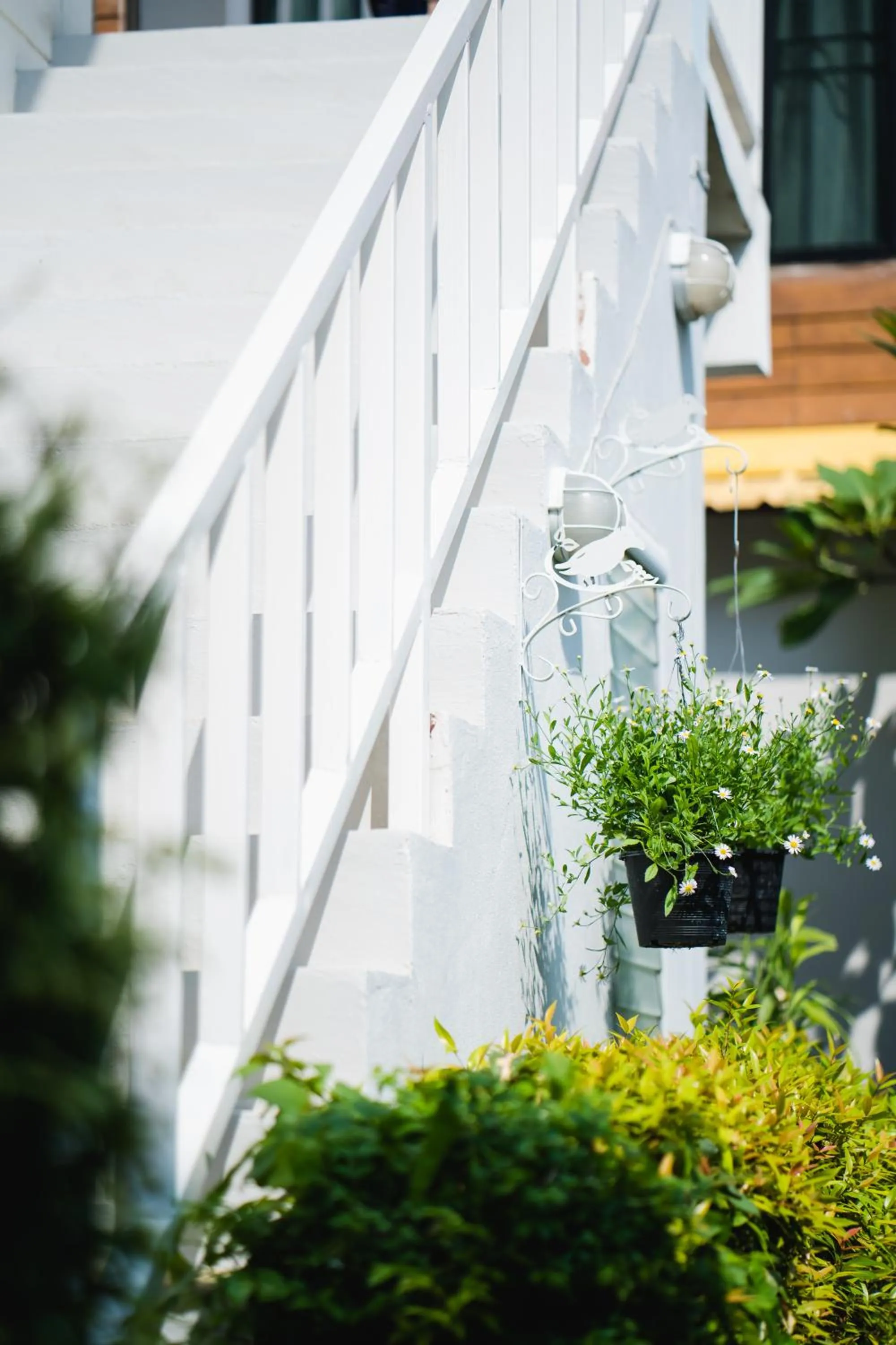 Garden in Sabuy Chiangmai