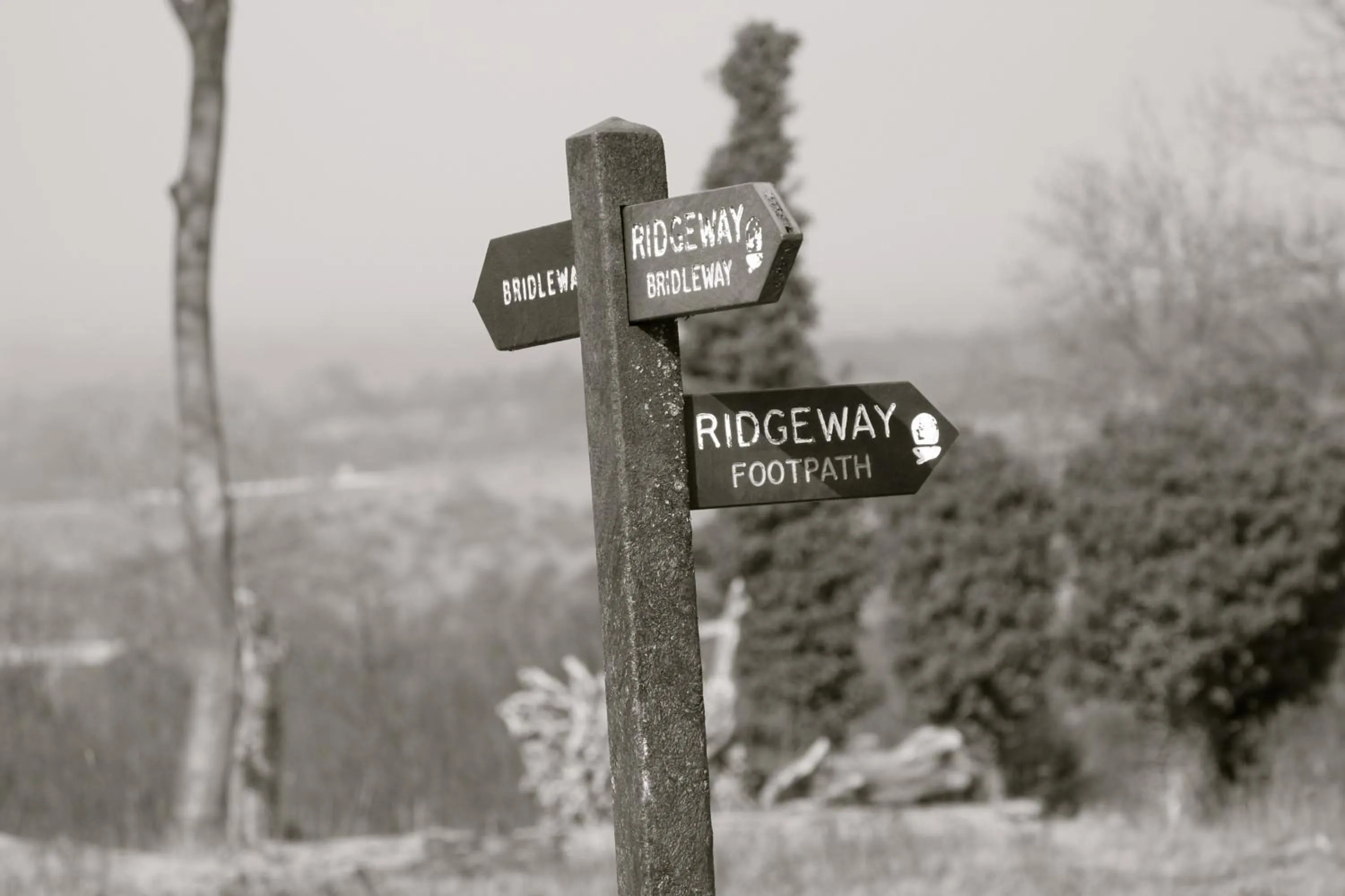 Hiking in The Nags Head Hotel