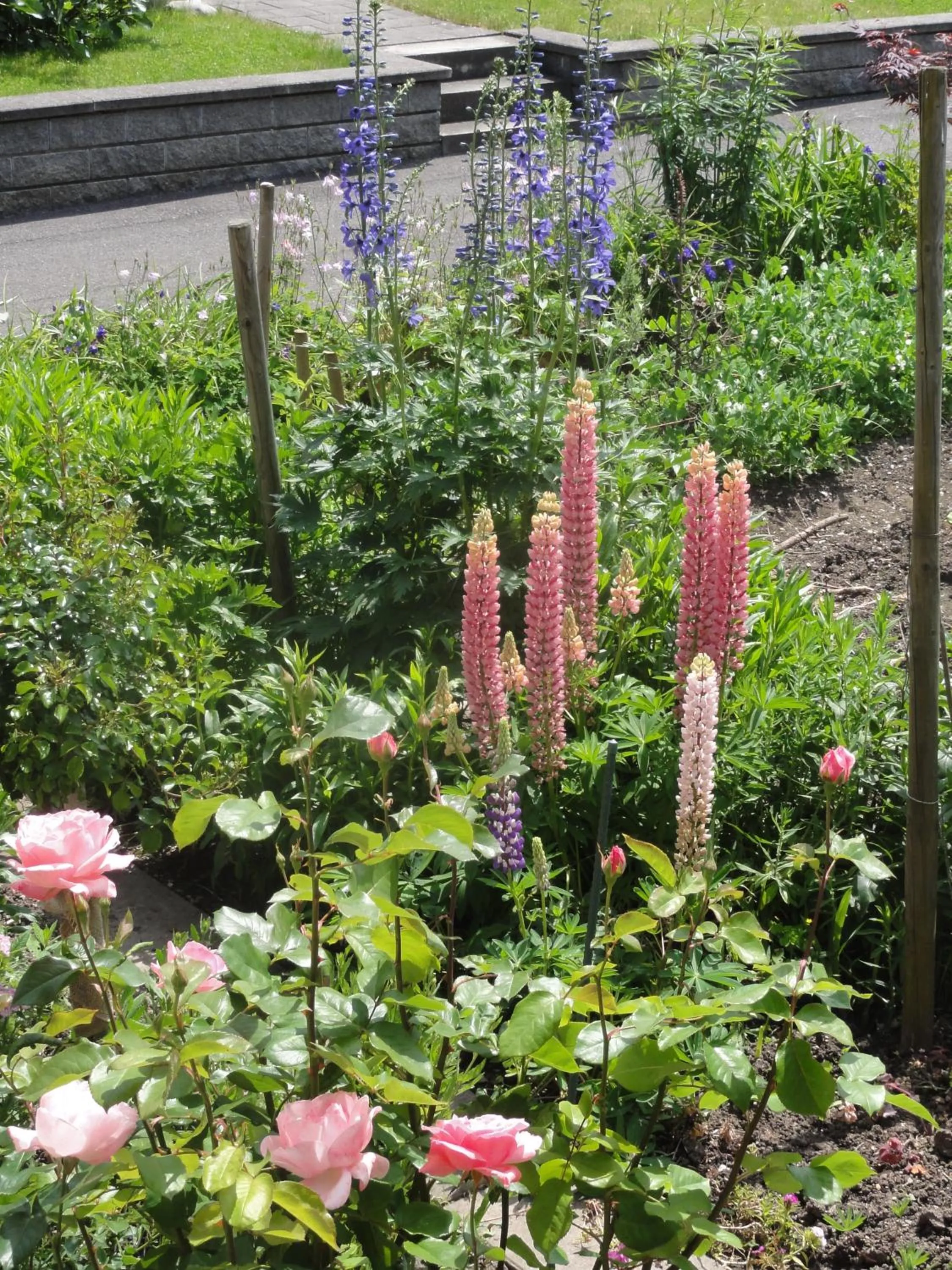 Garden in Apartment Beck