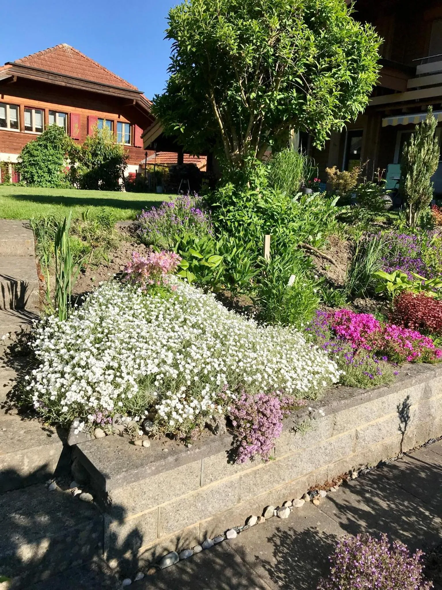 Garden in Apartment Beck