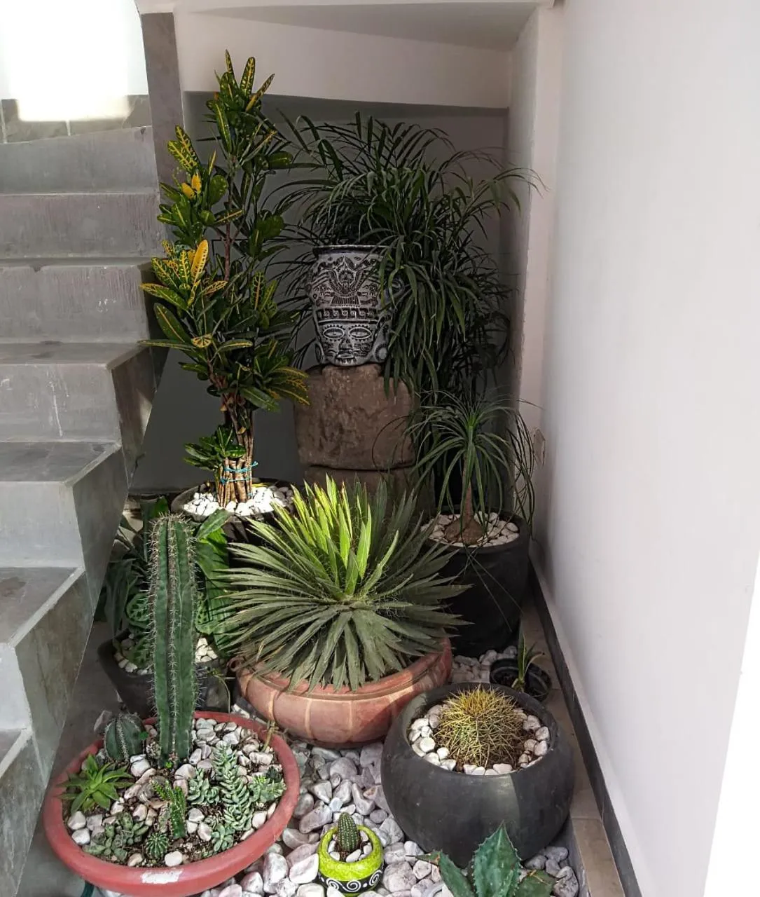 Area and facilities in Hotel Boutique Acocalli