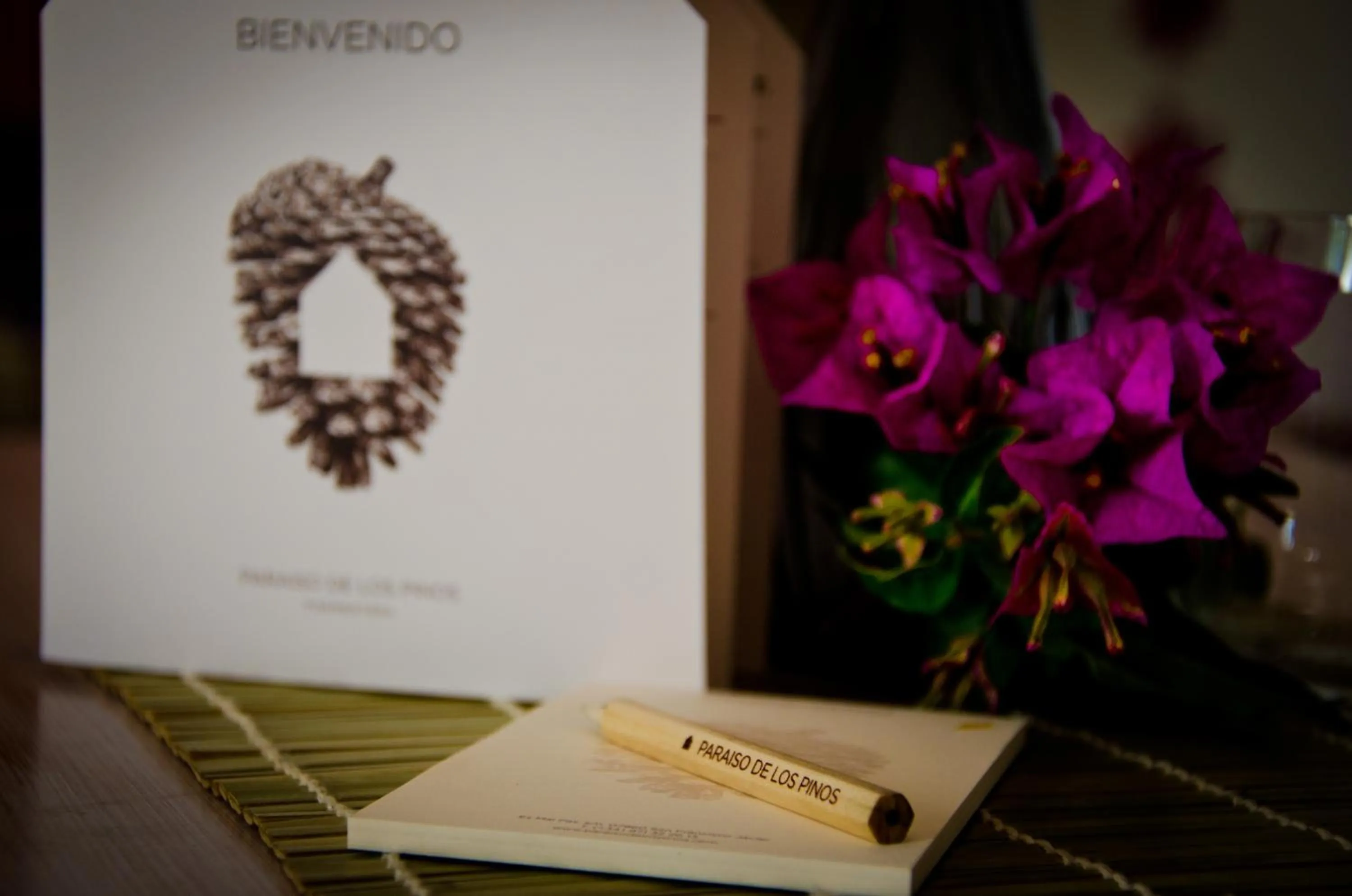 Decorative detail in Paraíso de los Pinos