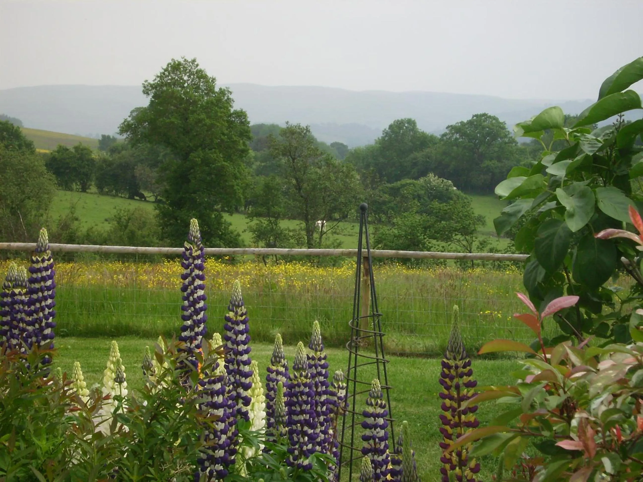 Smithfield Farm Bed & Breakfast