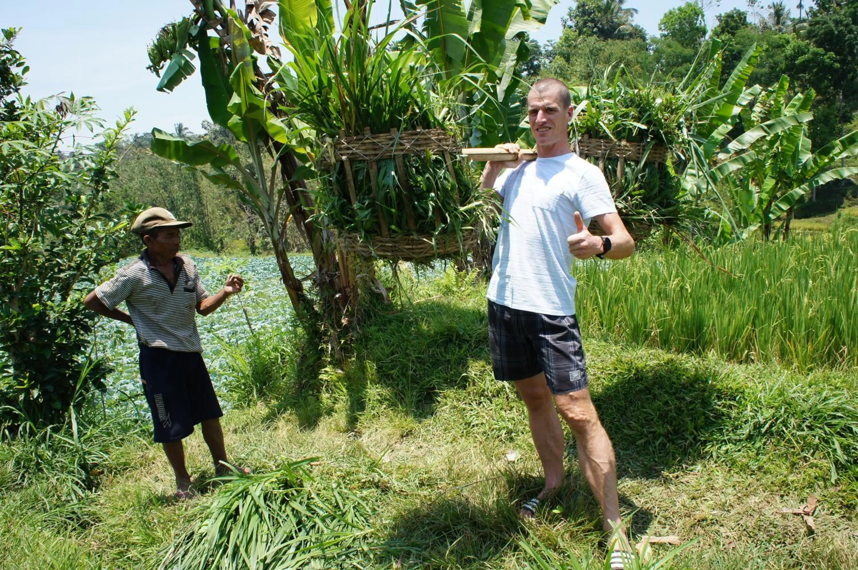 Tetebatu Flush Harmony