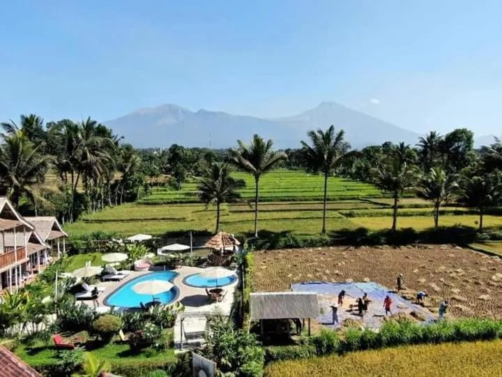 Tetebatu Flush Harmony