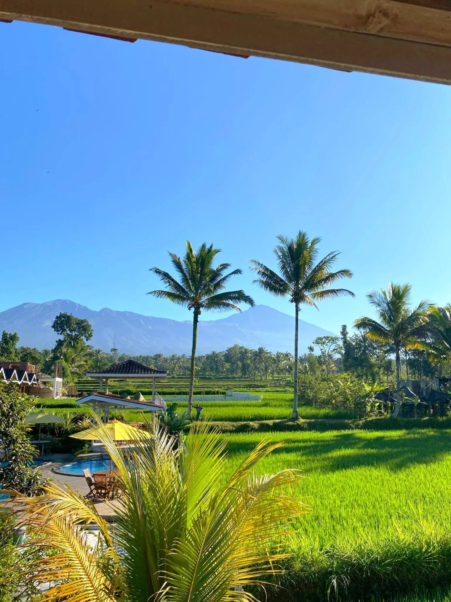 Tetebatu Flush Harmony