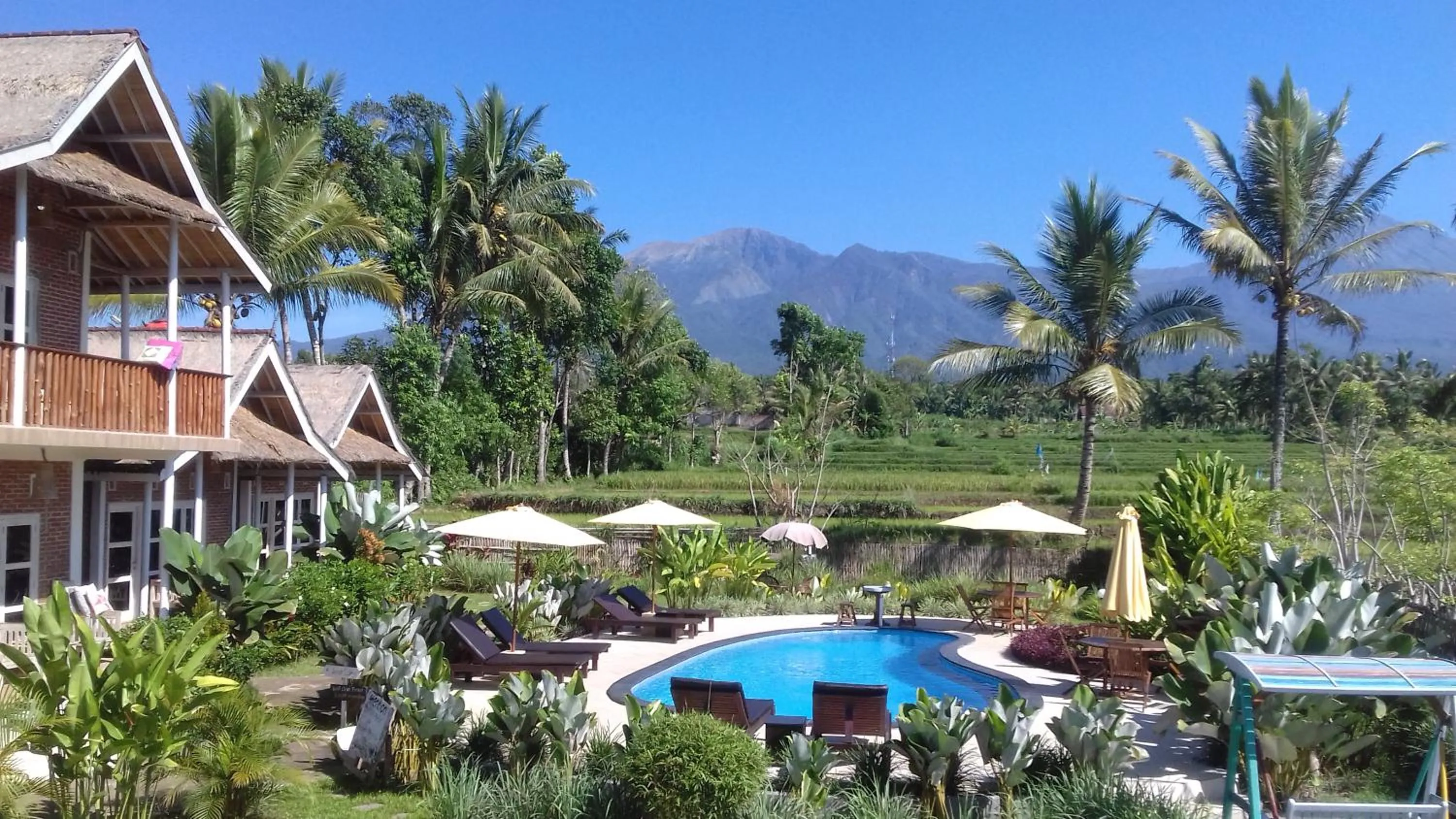 View (from property/room) in Tetebatu Flush Harmony