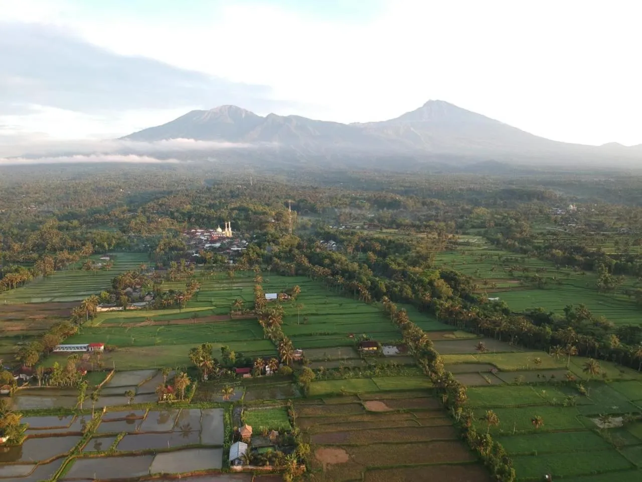 Tetebatu Flush Harmony