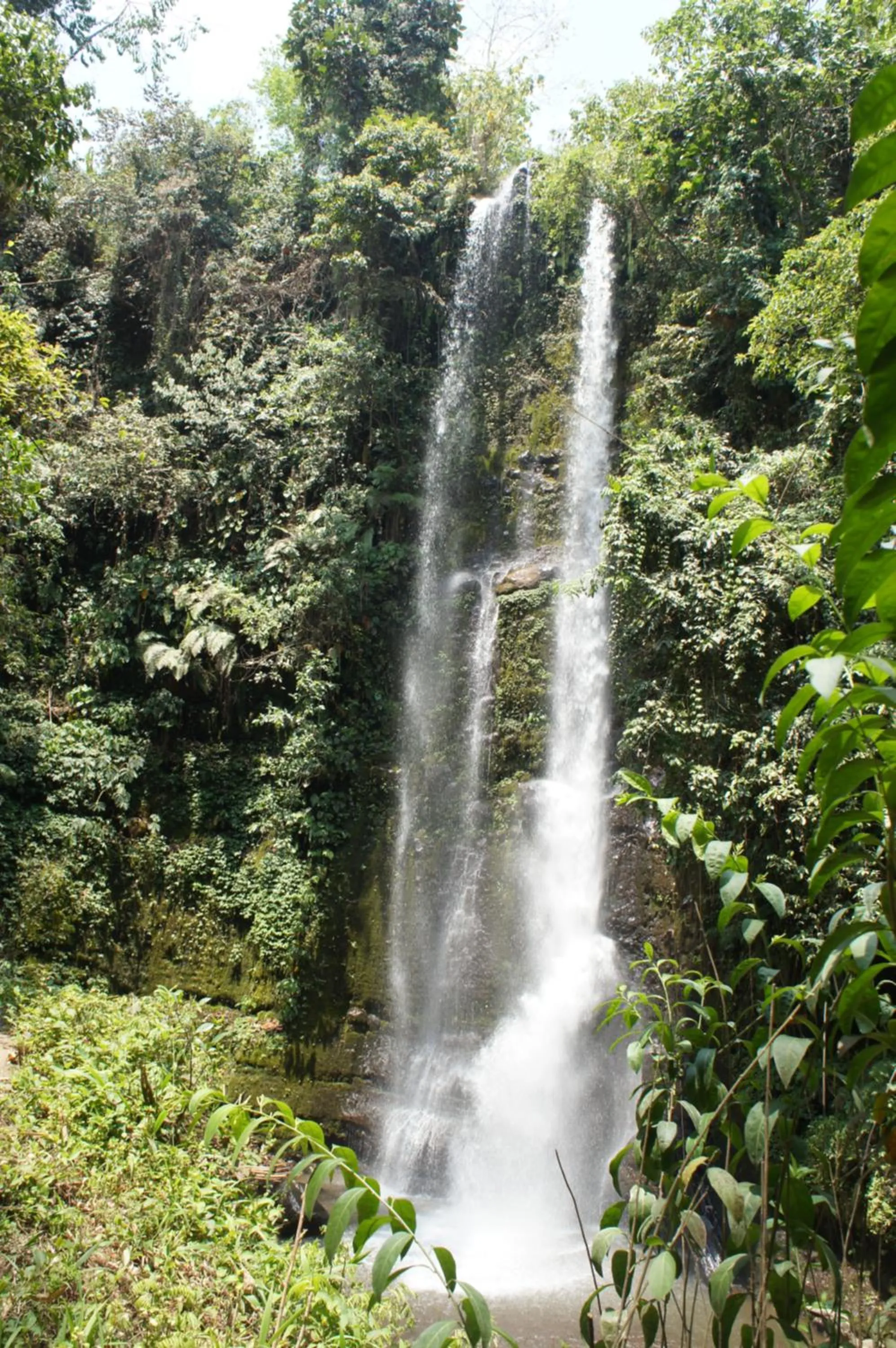 Tetebatu Flush Harmony