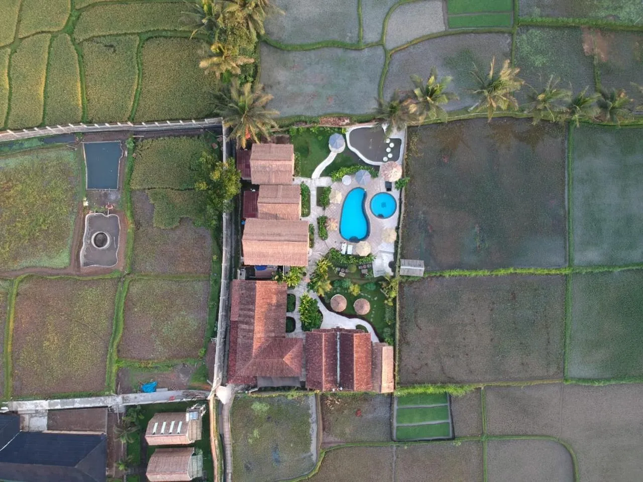 Tetebatu Flush Harmony