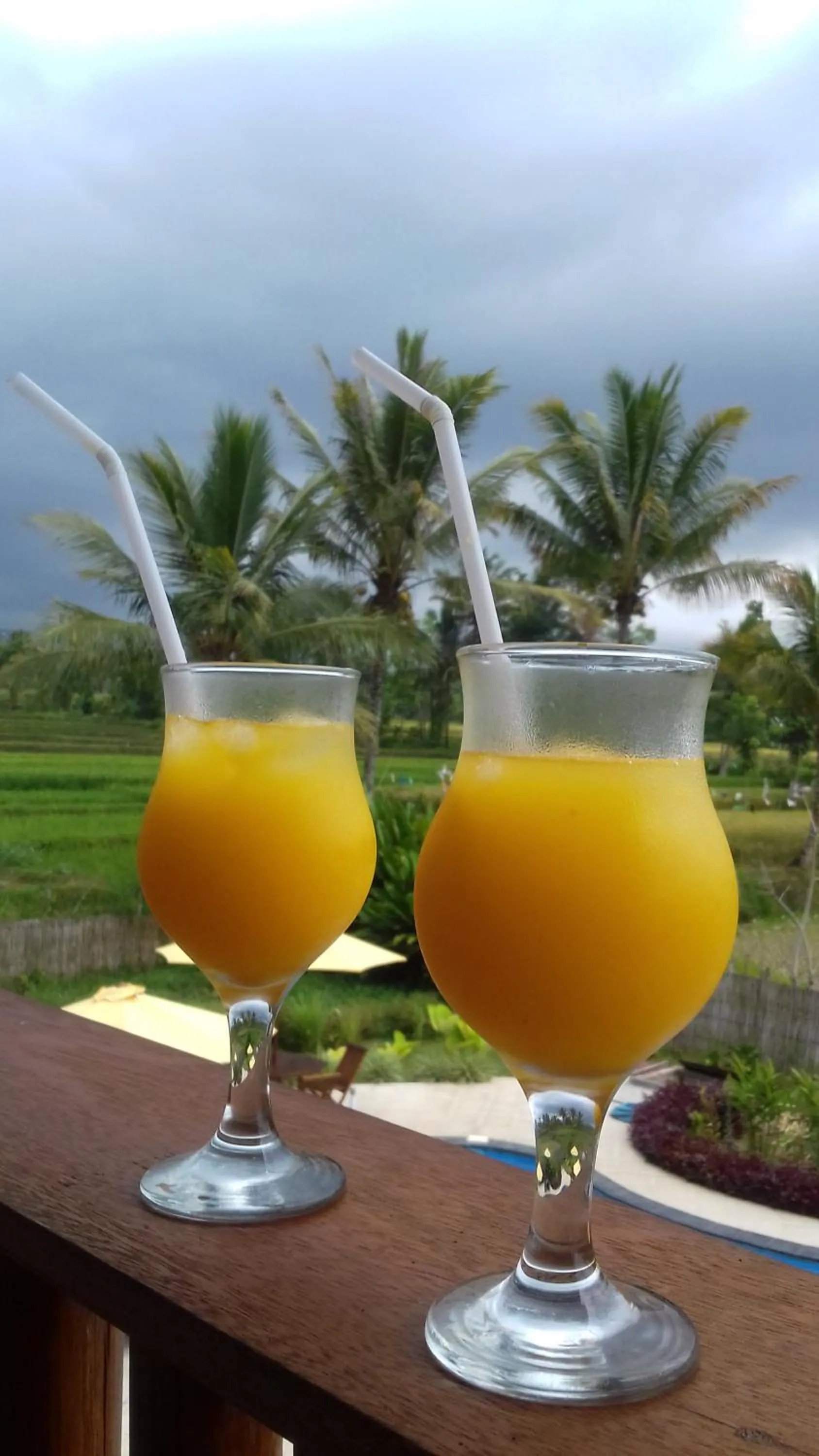 Drinks in Tetebatu Flush Harmony