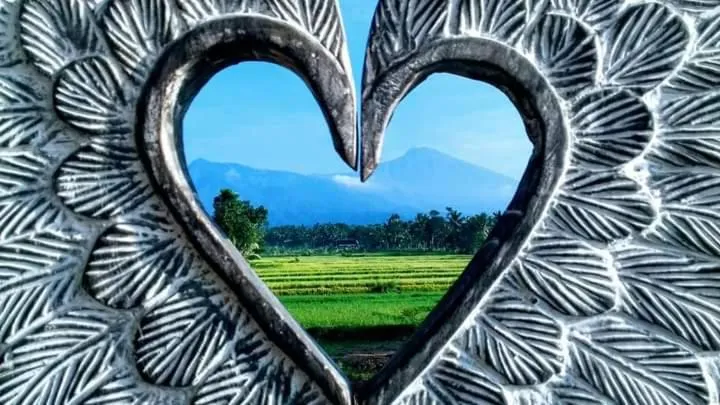 Tetebatu Flush Harmony