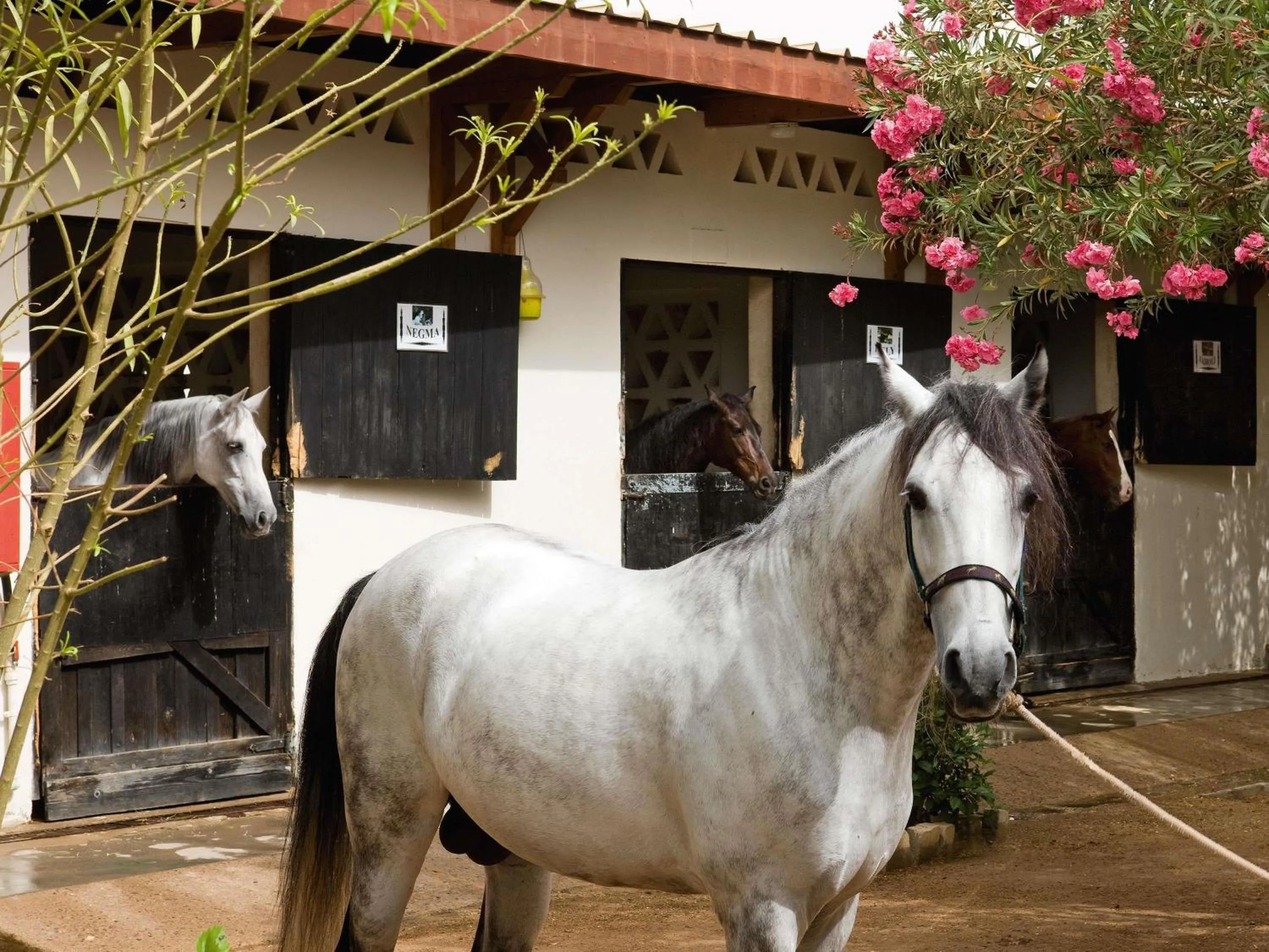 Bedroom in Movenpick Resort Sharm El Sheikh