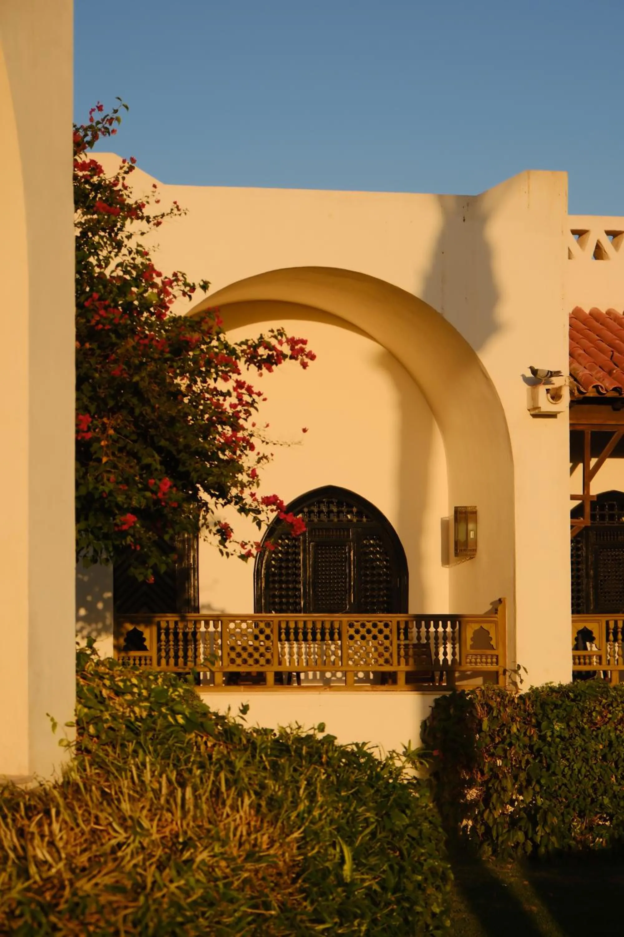 Garden in Movenpick Resort Sharm El Sheikh