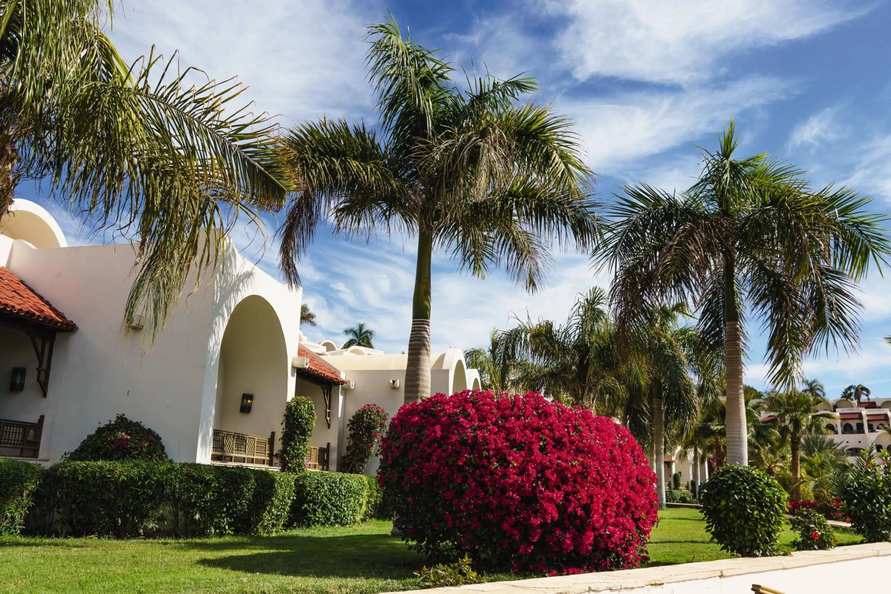 Garden in Movenpick Resort Sharm El Sheikh
