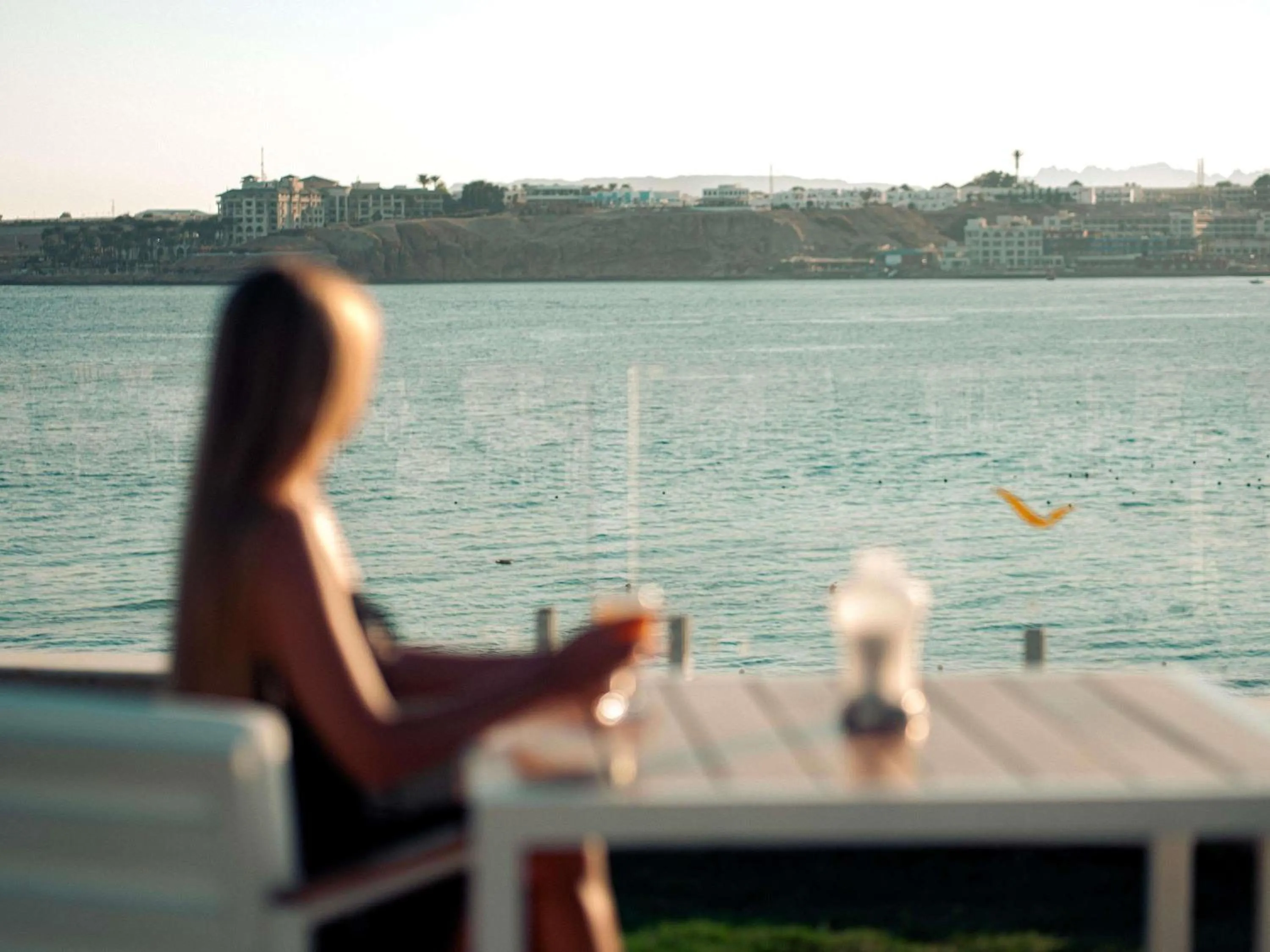 Lounge or bar in Movenpick Resort Sharm El Sheikh