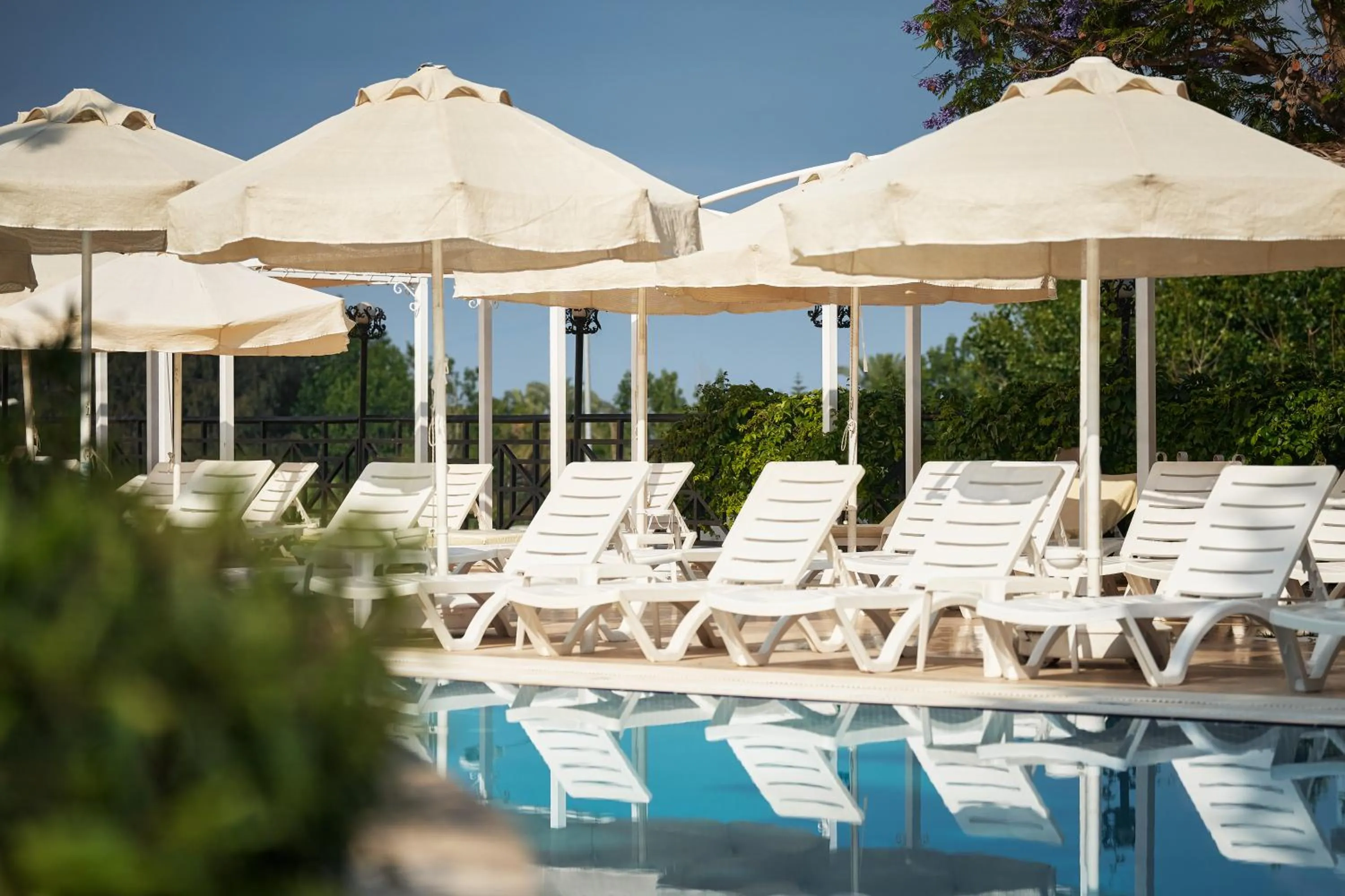 Swimming pool in Seaden Corolla Hotel