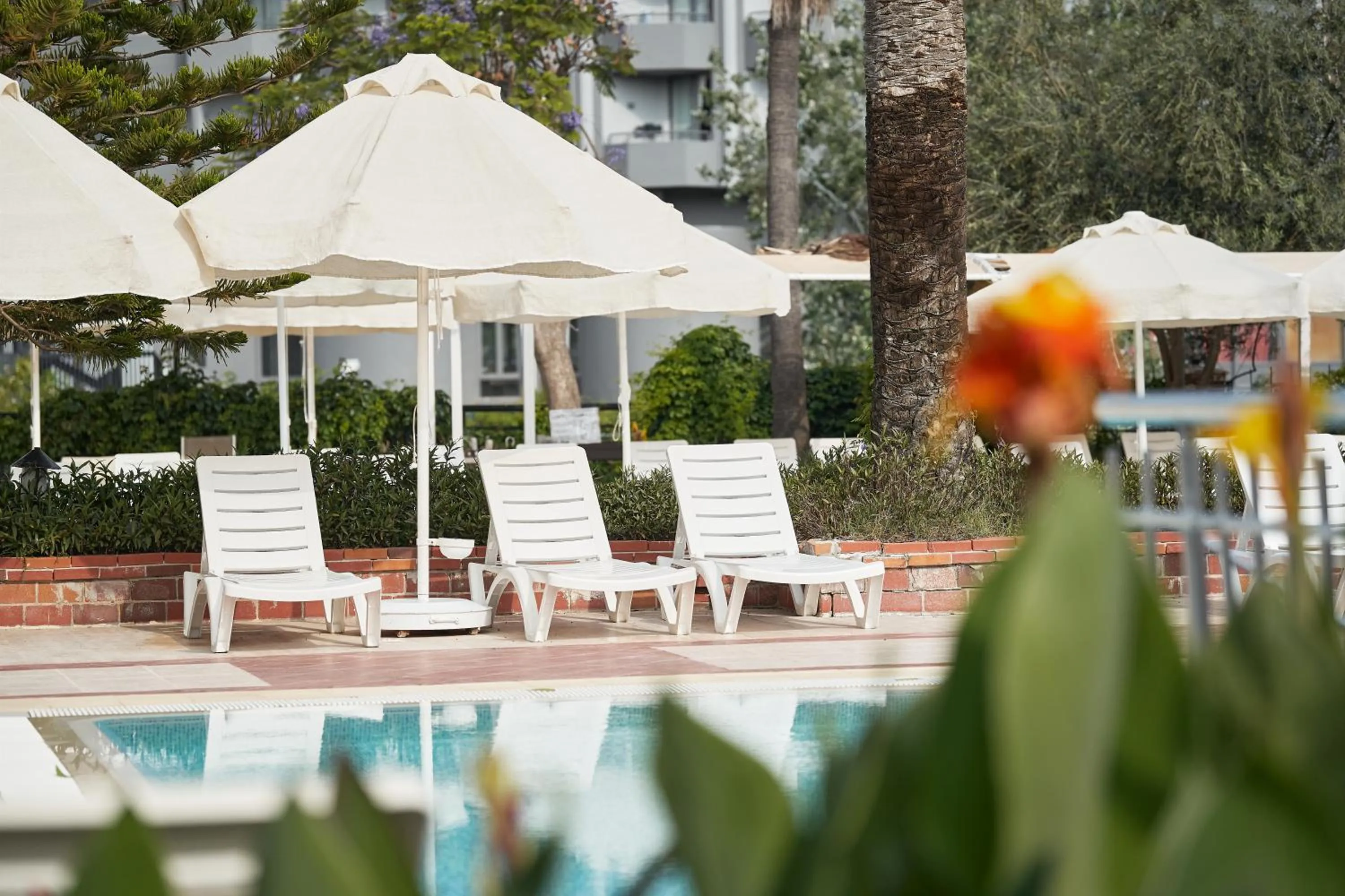 Pool view in Seaden Corolla Hotel