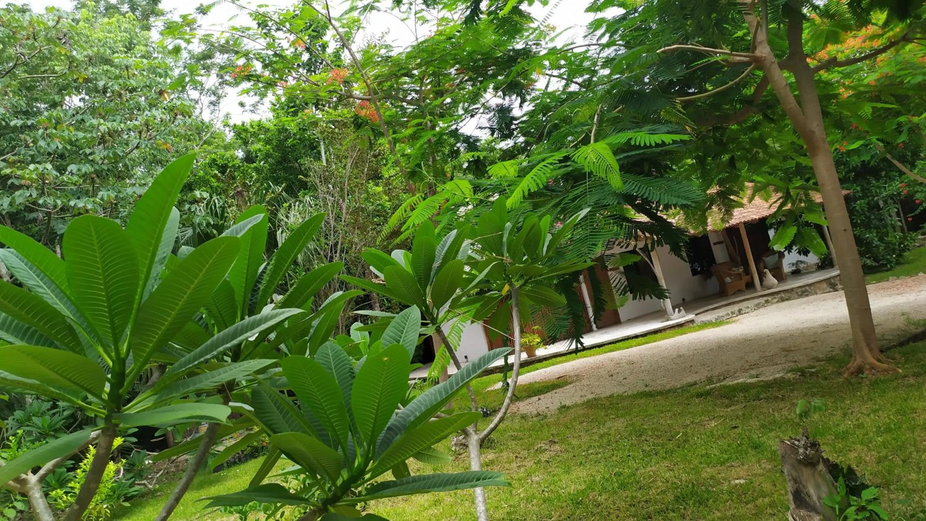 Garden in Estancia Lapislázuli