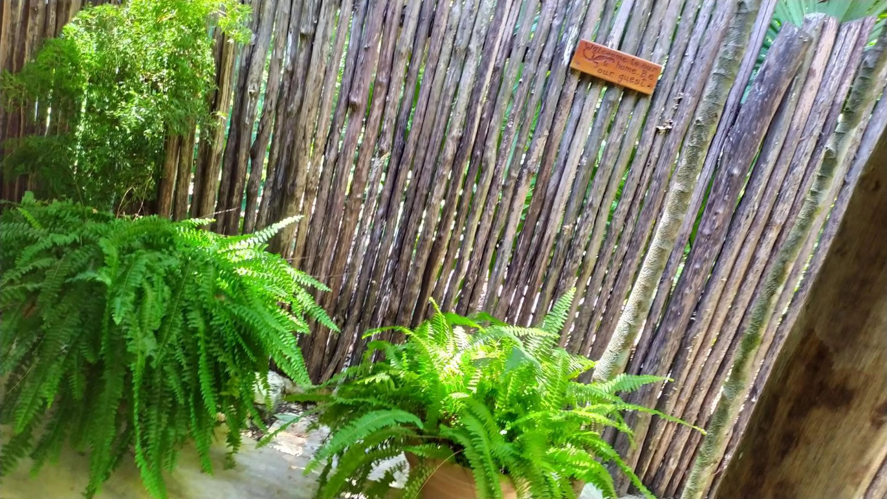 Garden in Estancia Lapislázuli