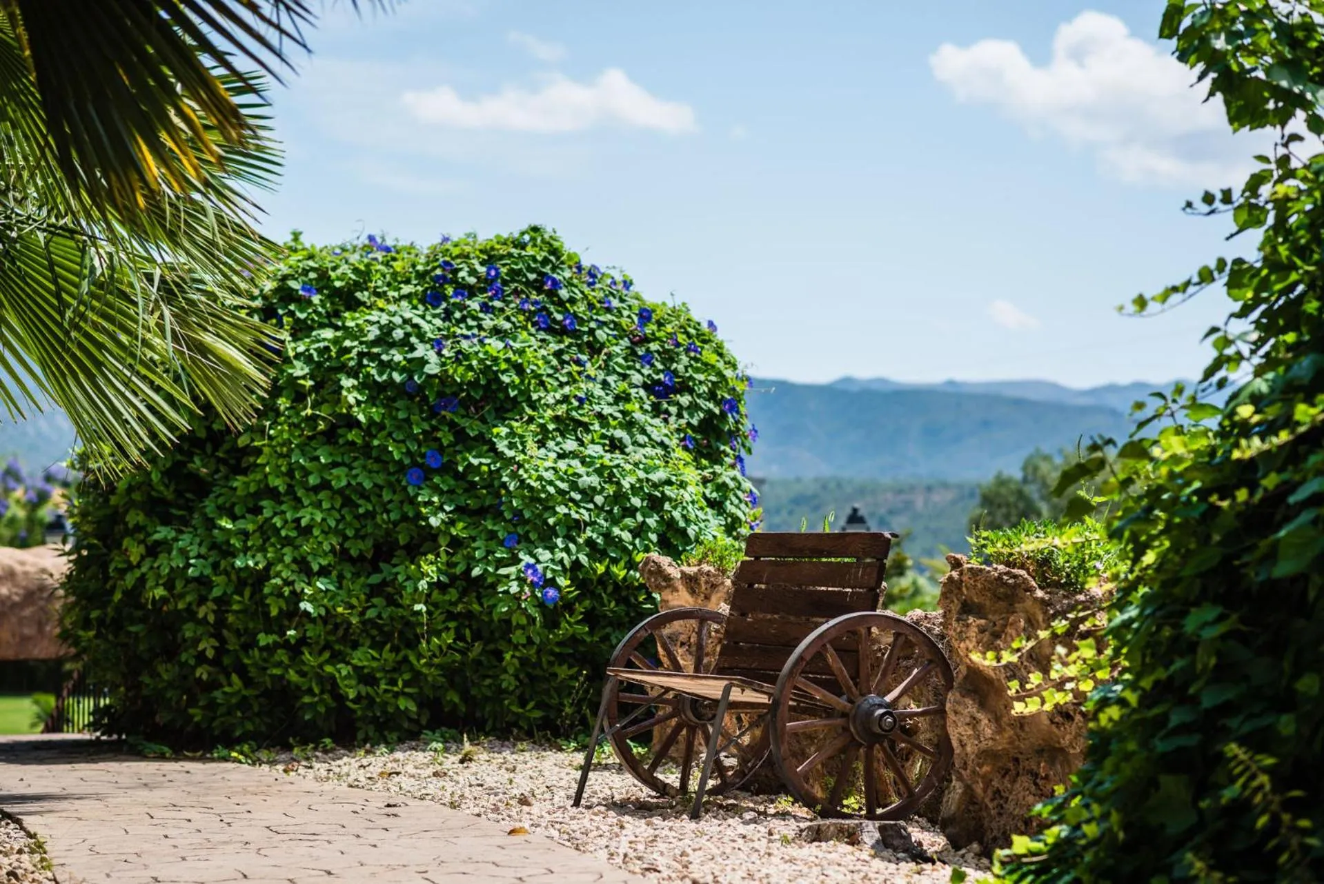 Garden in Hotel Villa Retiro