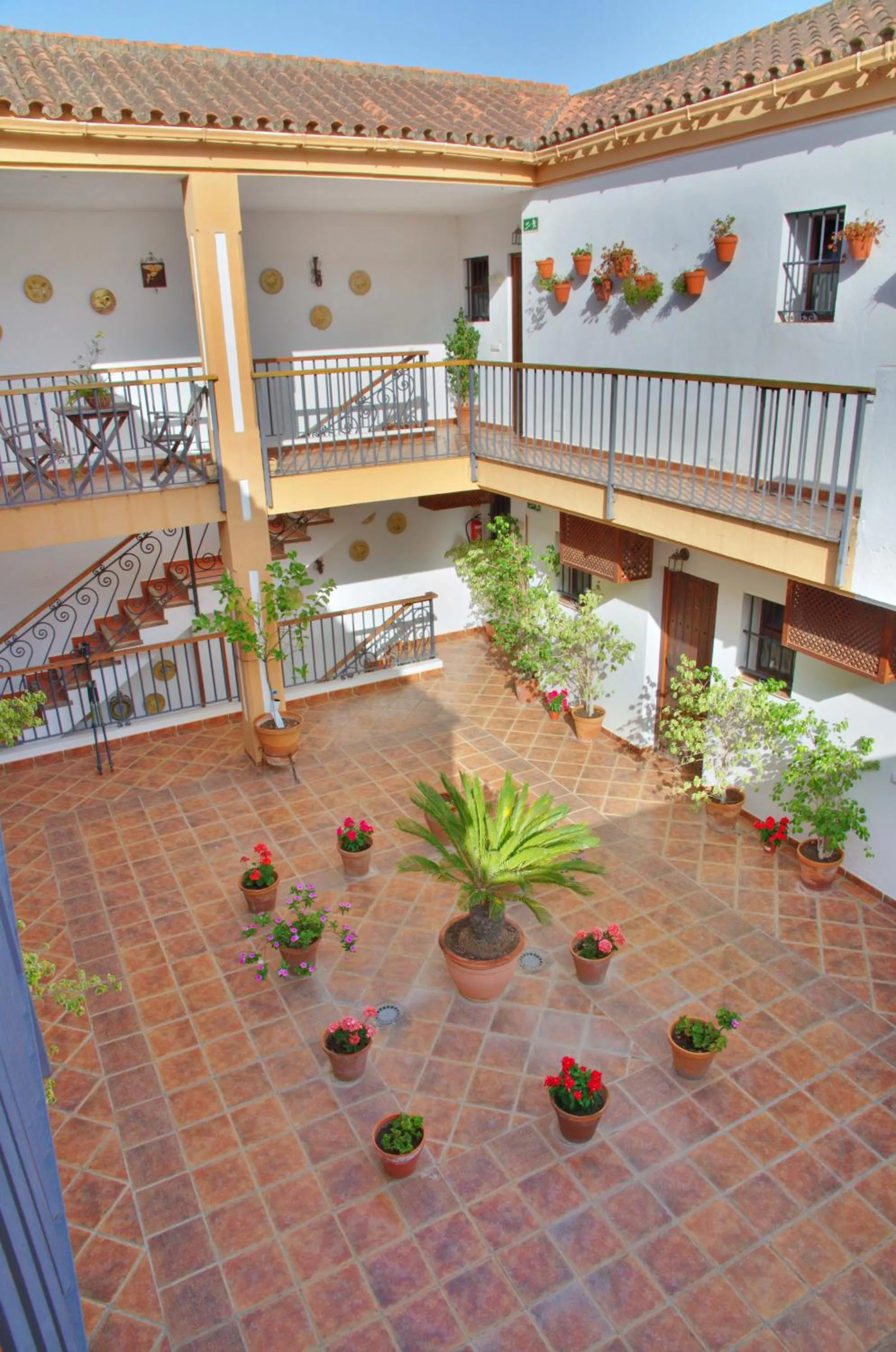 Patio in Hotel Posada Casas Viejas