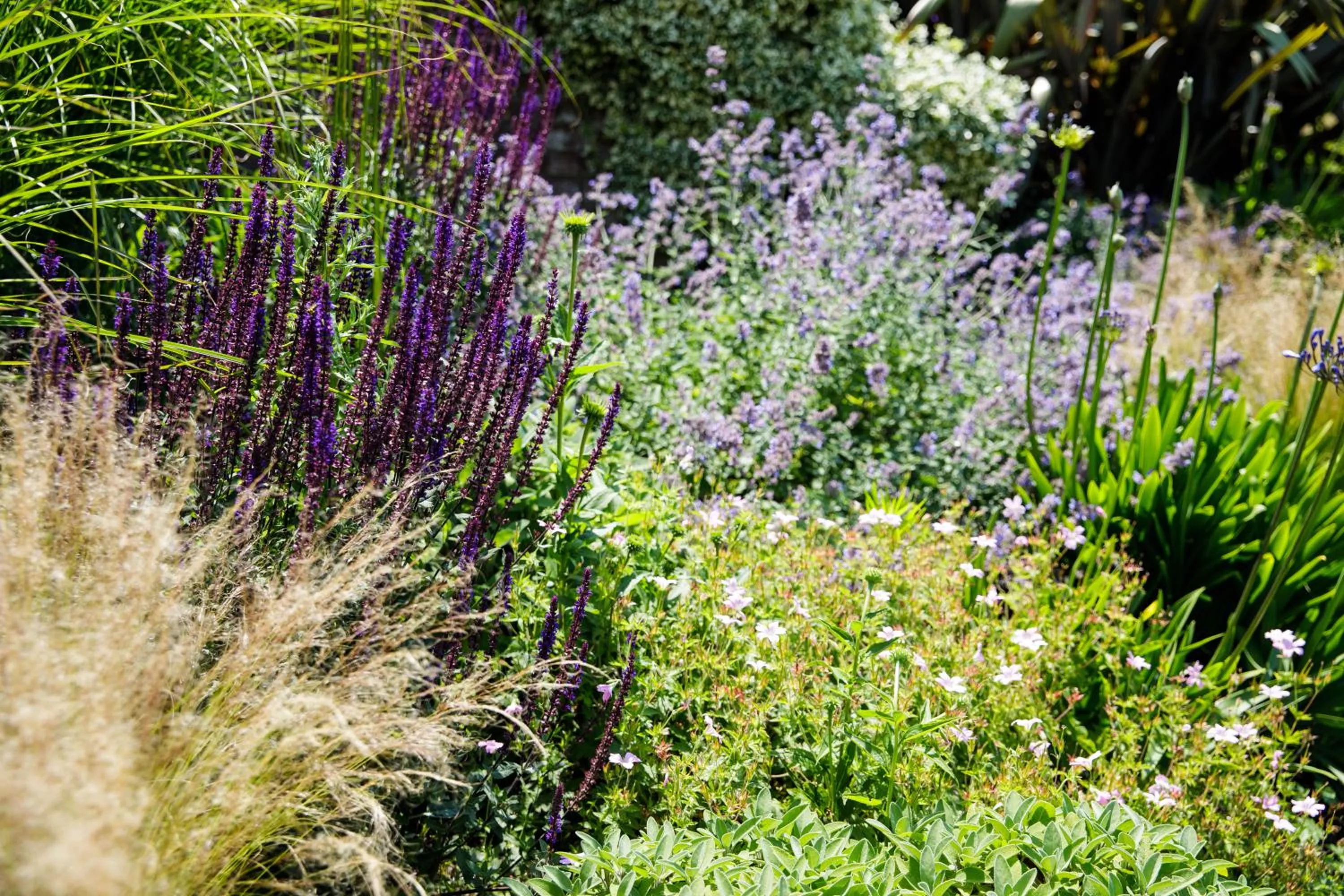Natural landscape in The Atlantic Hotel - Small Luxury Hotels of the World