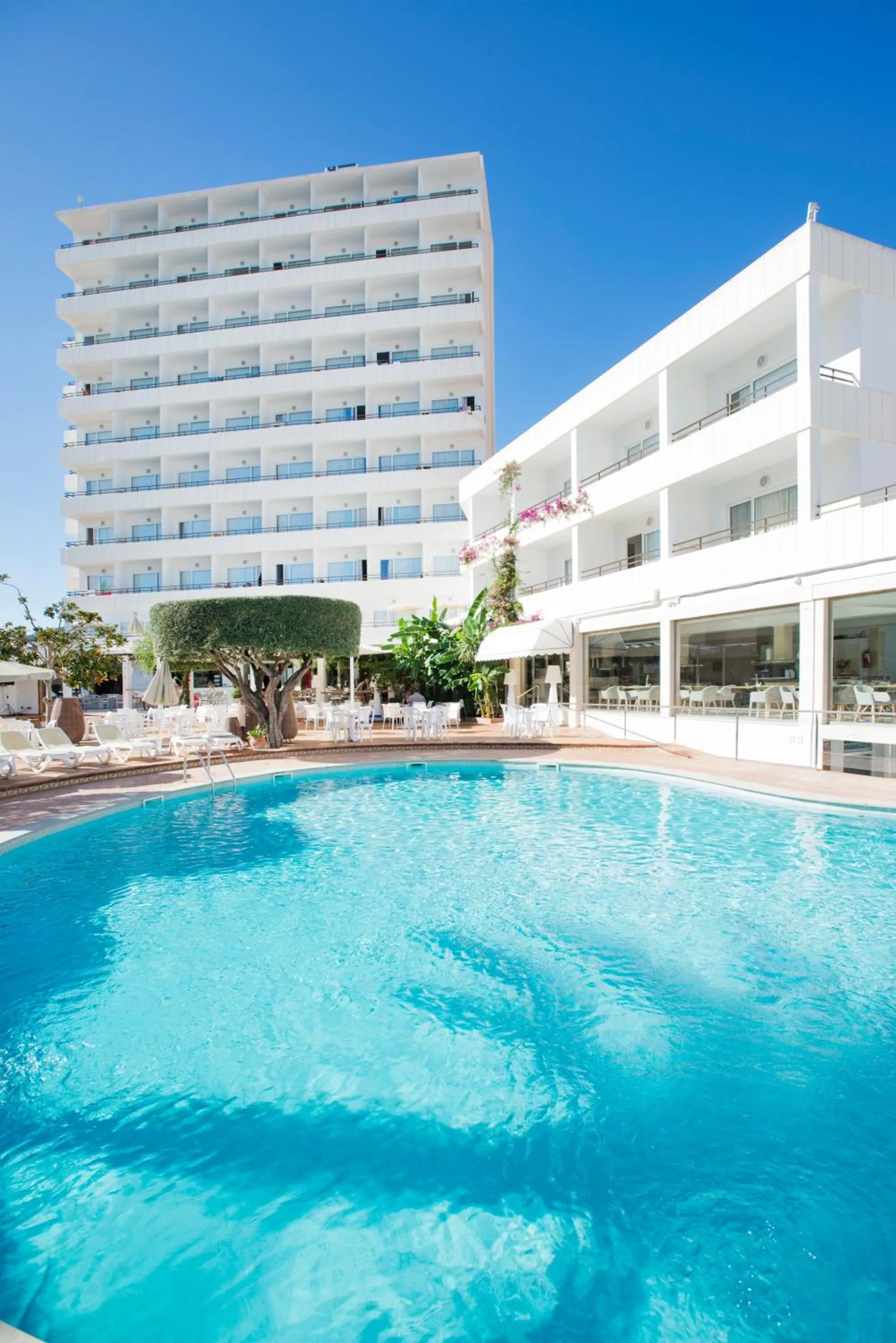 Swimming pool in Hotel Morito
