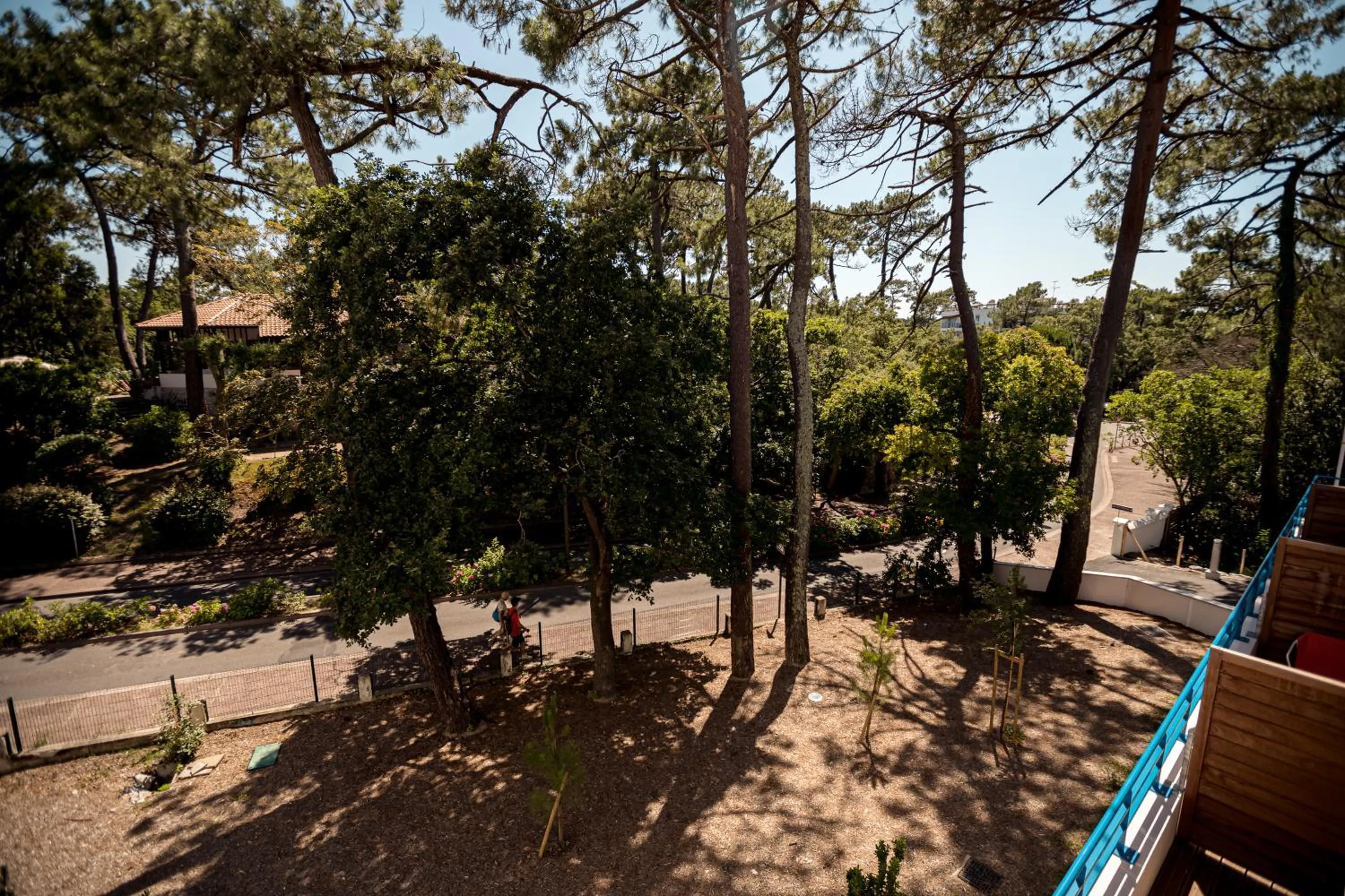 Garden view in Hotel Mercedes
