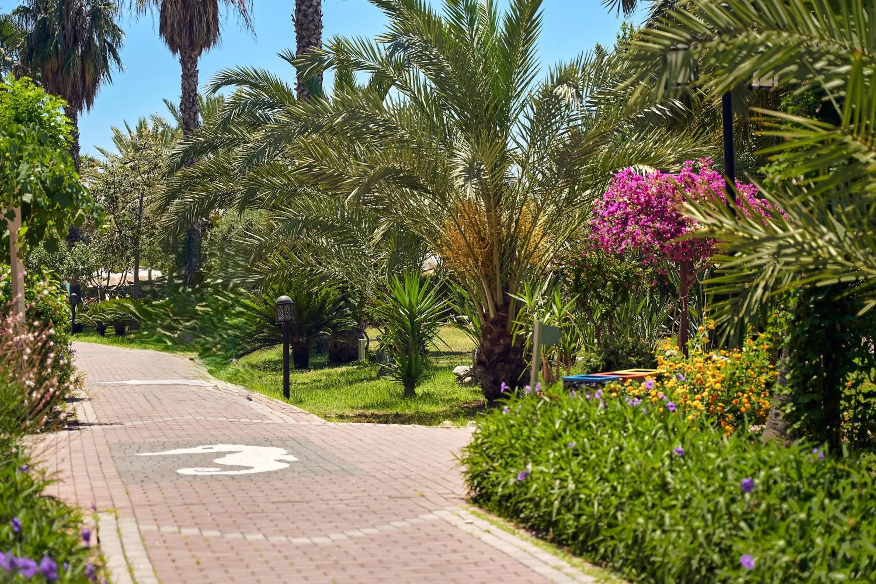 Garden view in Seaden Sea World Resort & Spa