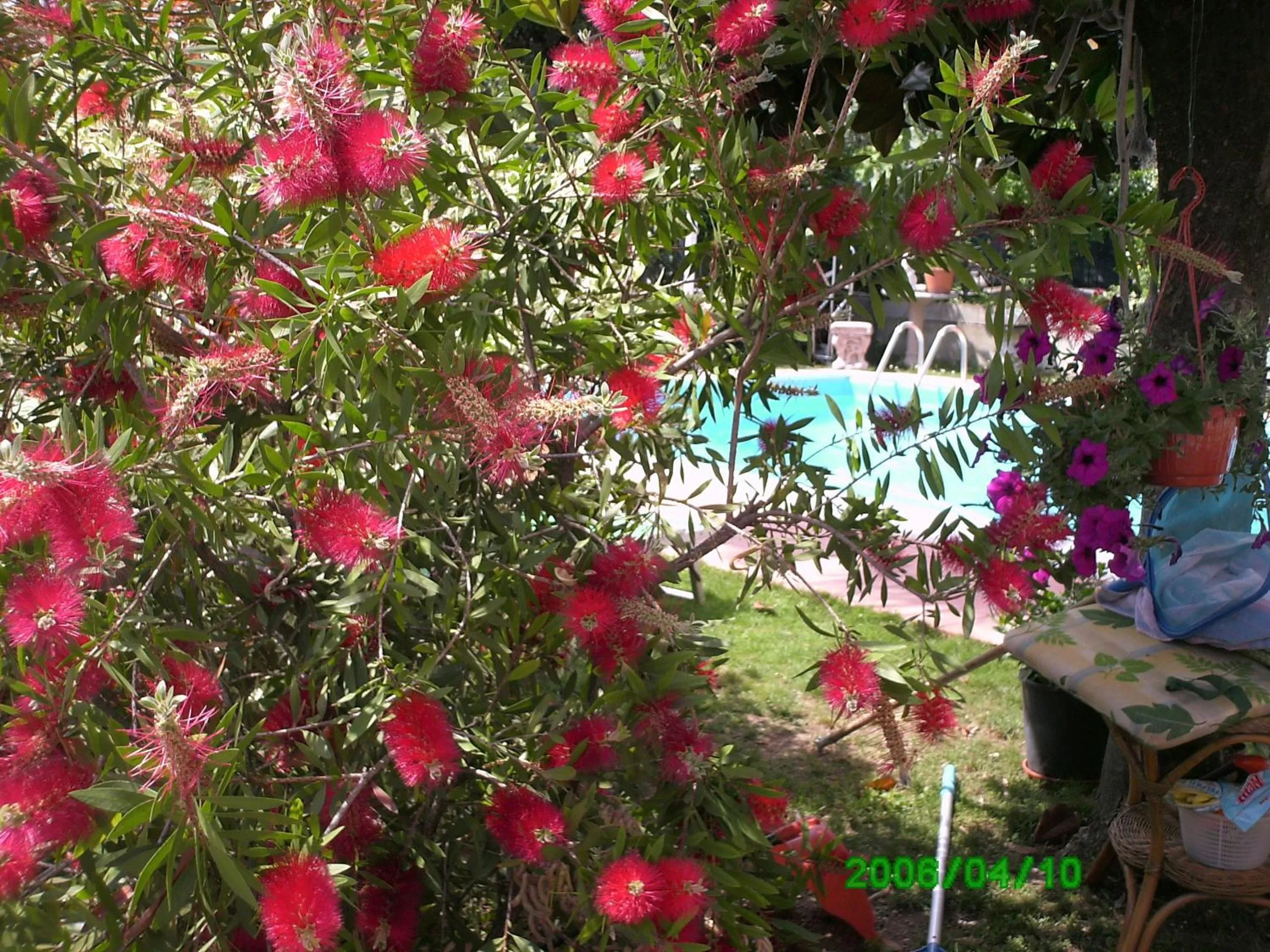 Garden in B&B Desenzano