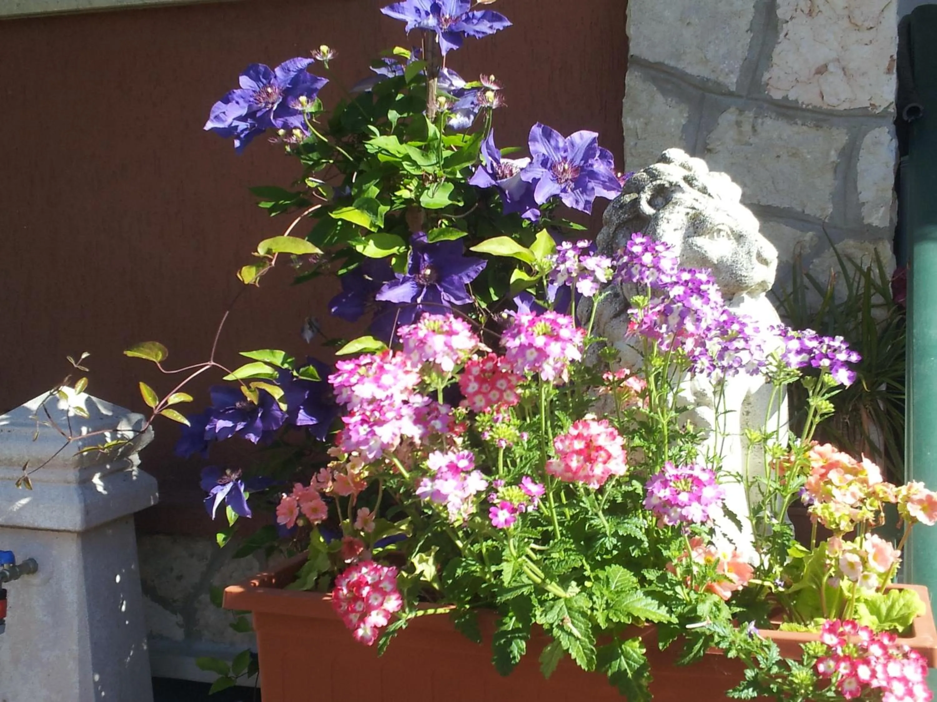 Garden in B&B Desenzano