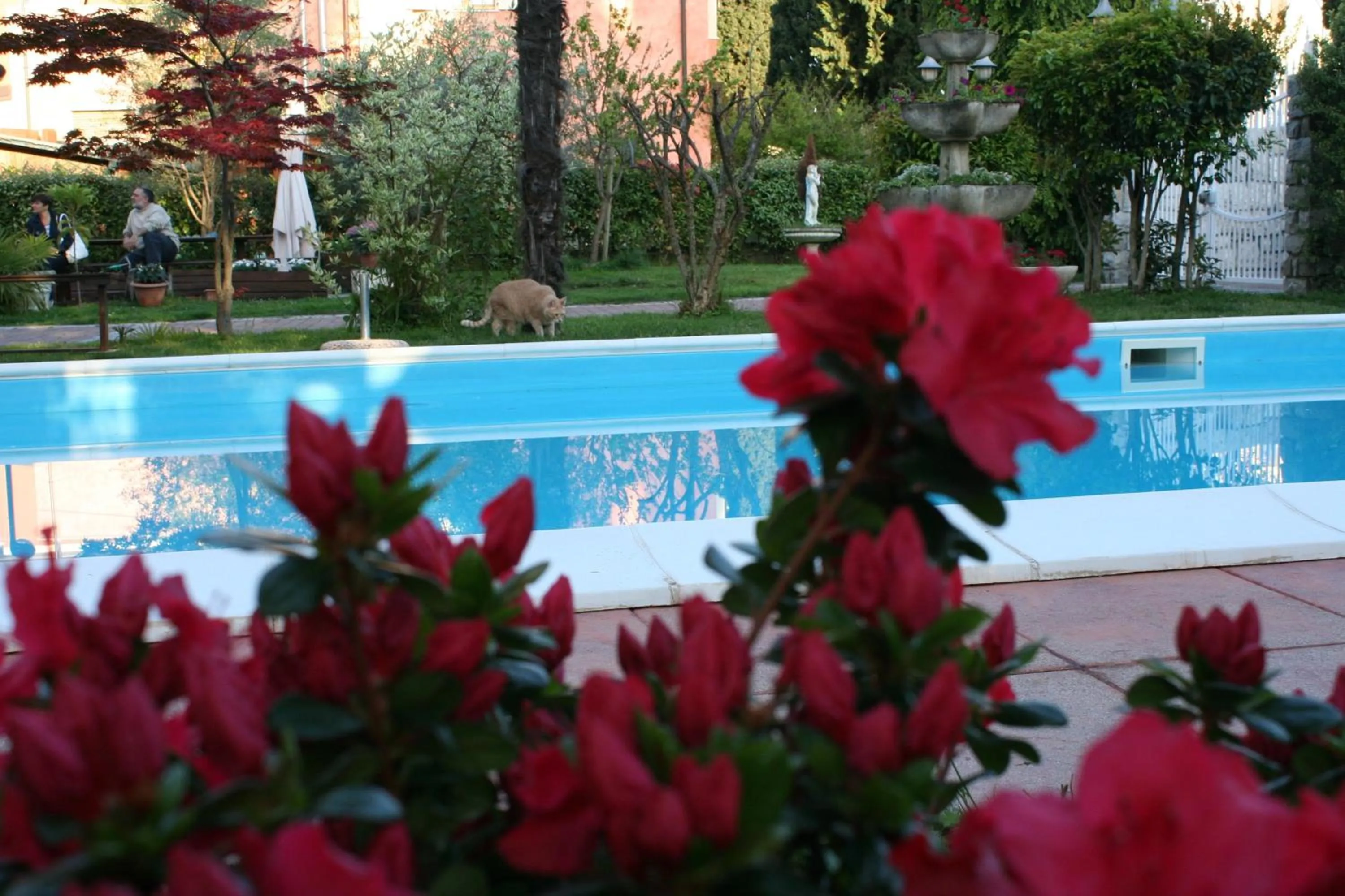Swimming pool in B&B Desenzano