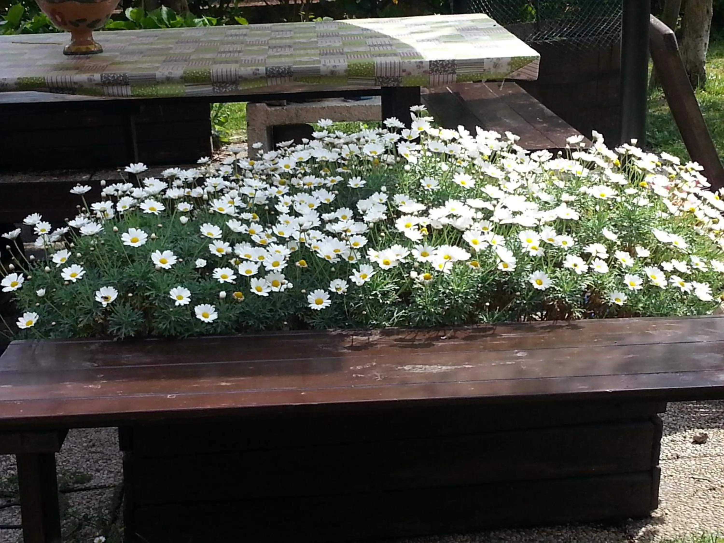 Garden in B&B Desenzano