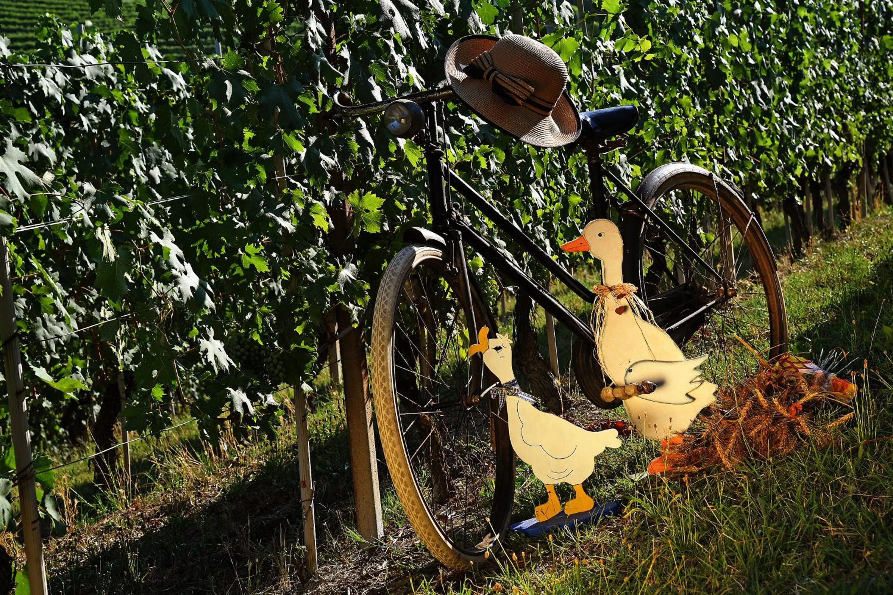 Agriturismo Il Gioco Dell'Oca