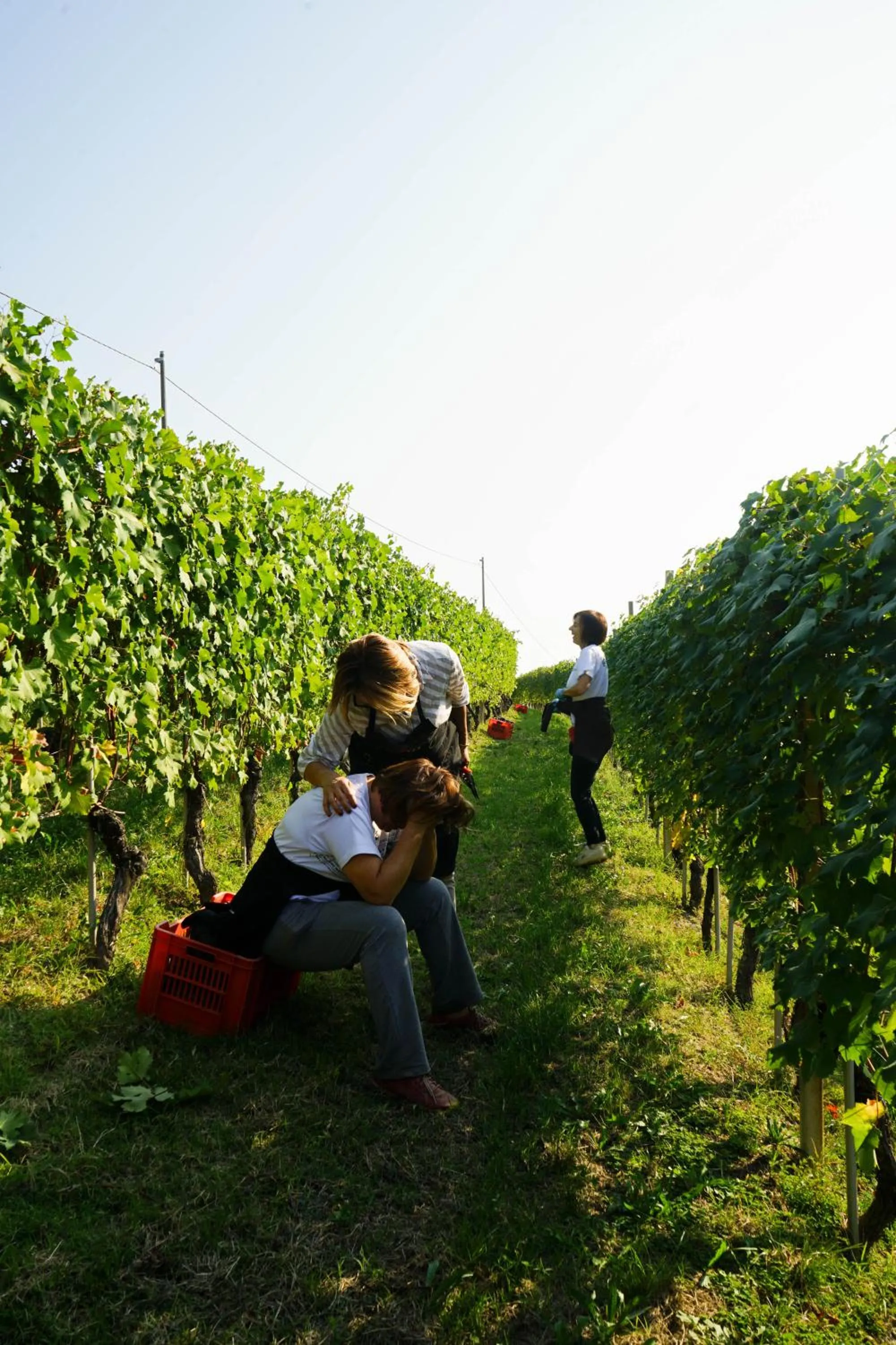 Agriturismo Il Gioco Dell'Oca